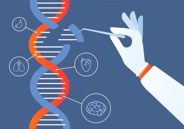 Molecular Building Blocks of Life: Carbohydrates, Lipids, Proteins, and Nucleic Acids