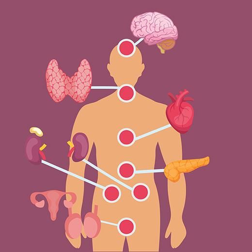 Hormonal Feedback Mechanisms – Regulation of Endocrine Function