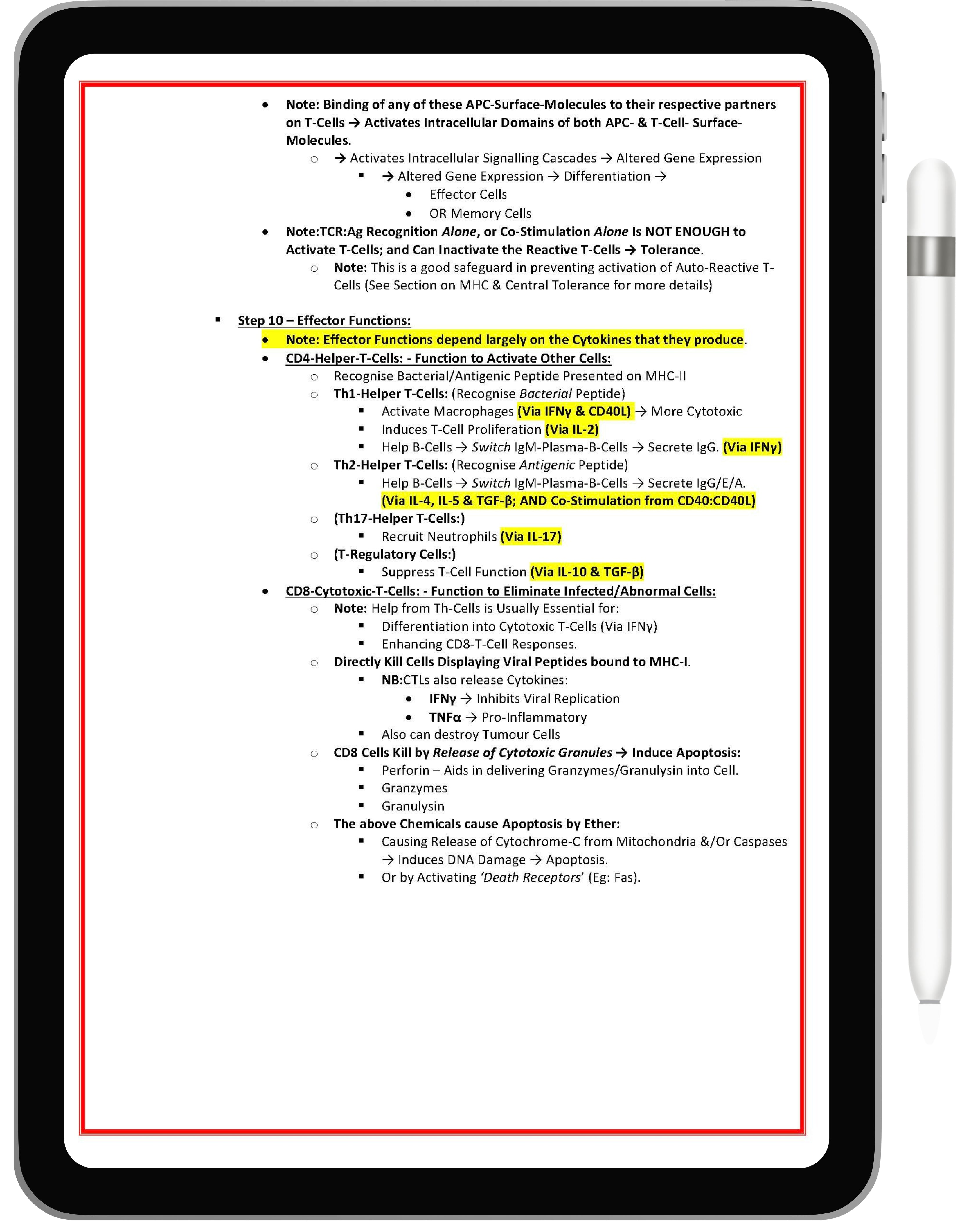 Immunology & Rheumatology