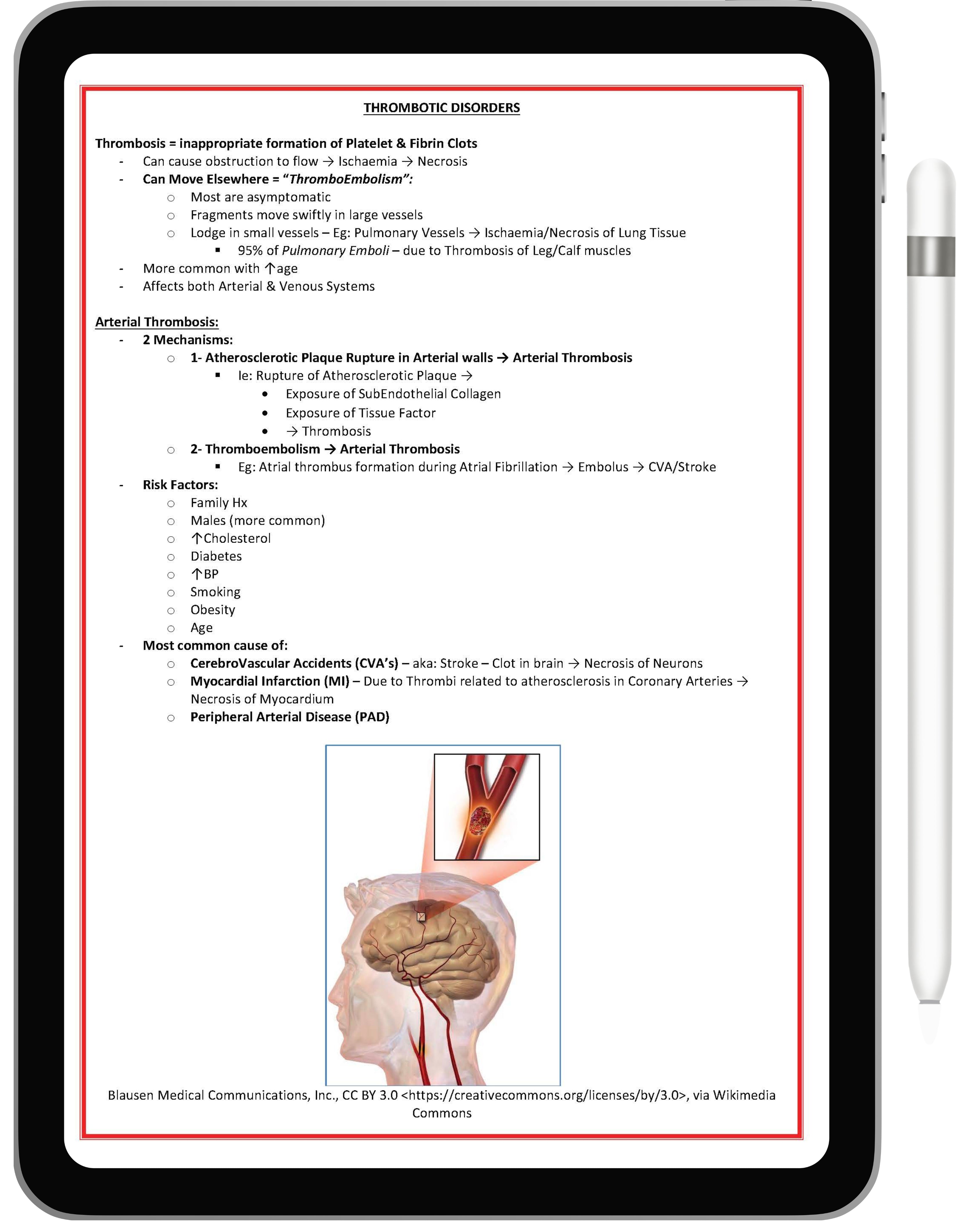 Clinical Haematology