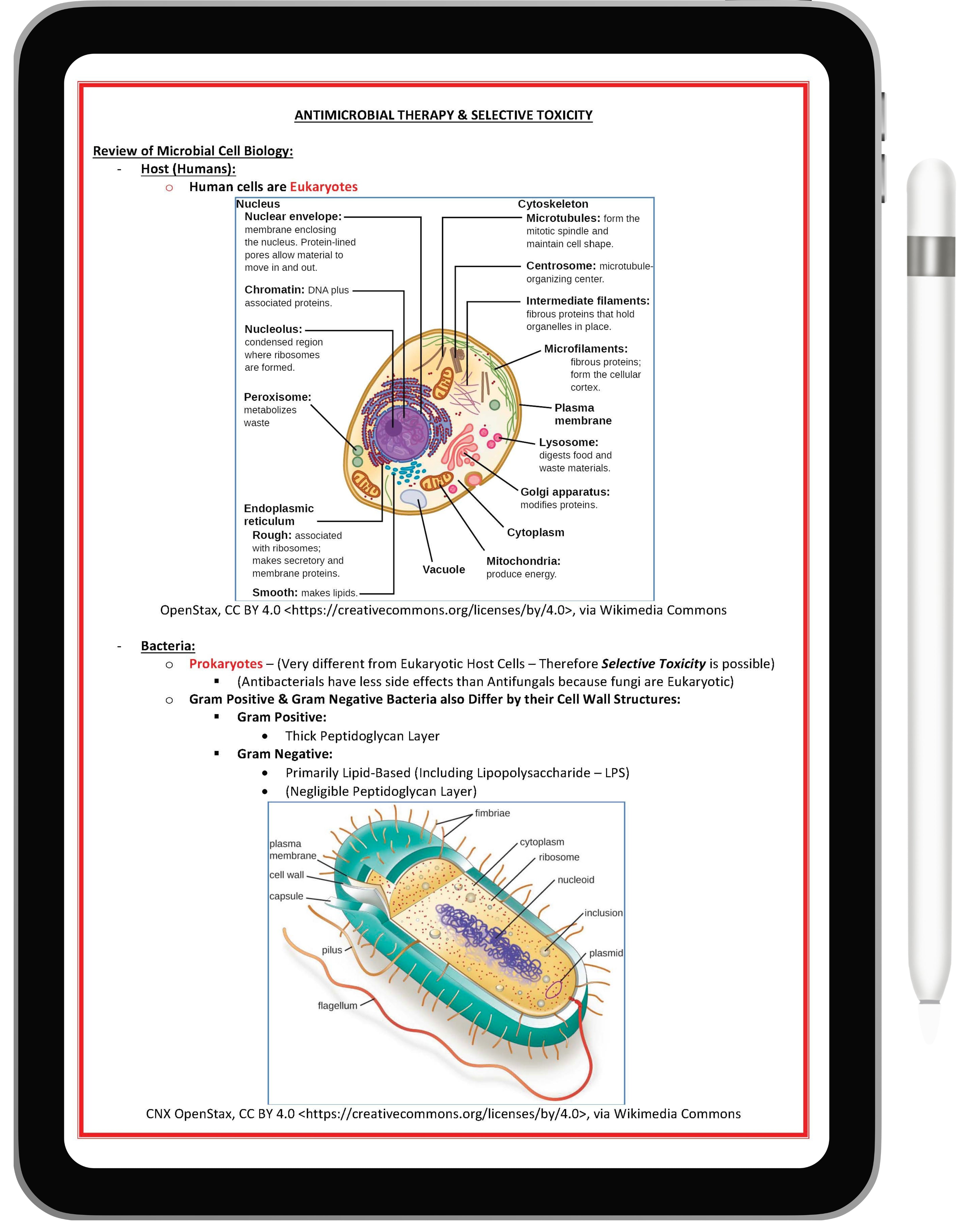 Pharmacology & Toxicology