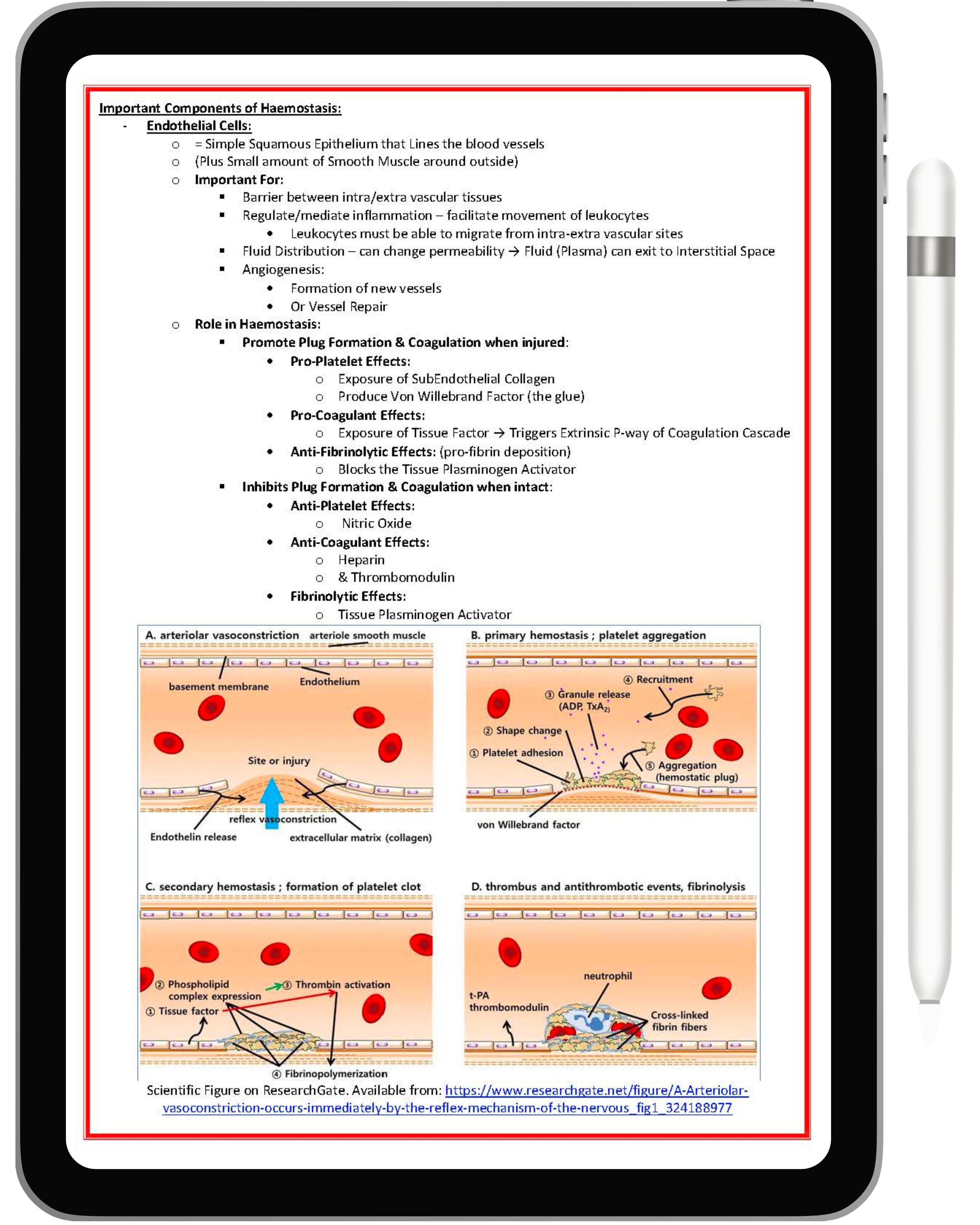 Clinical Haematology