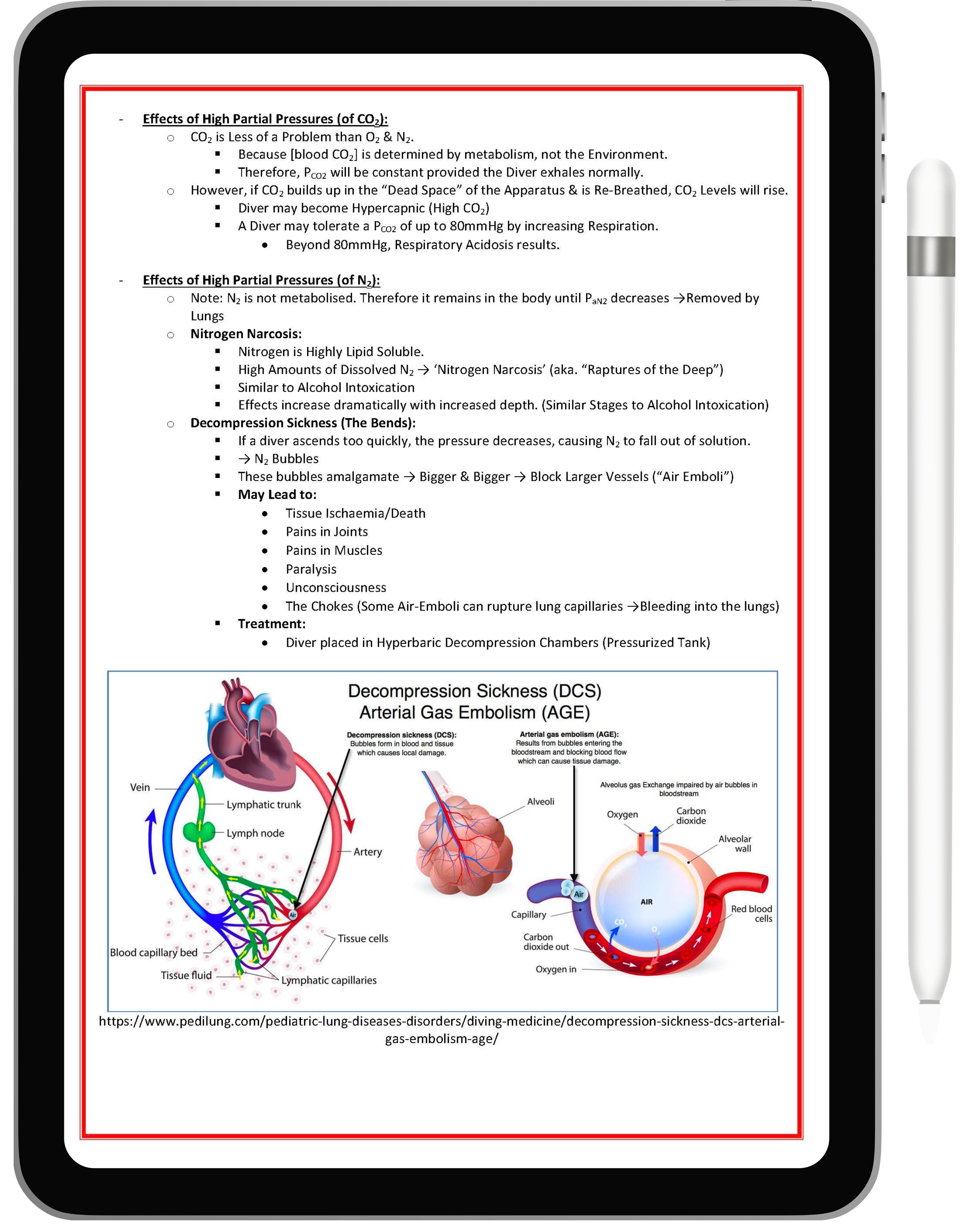 Respiratory System