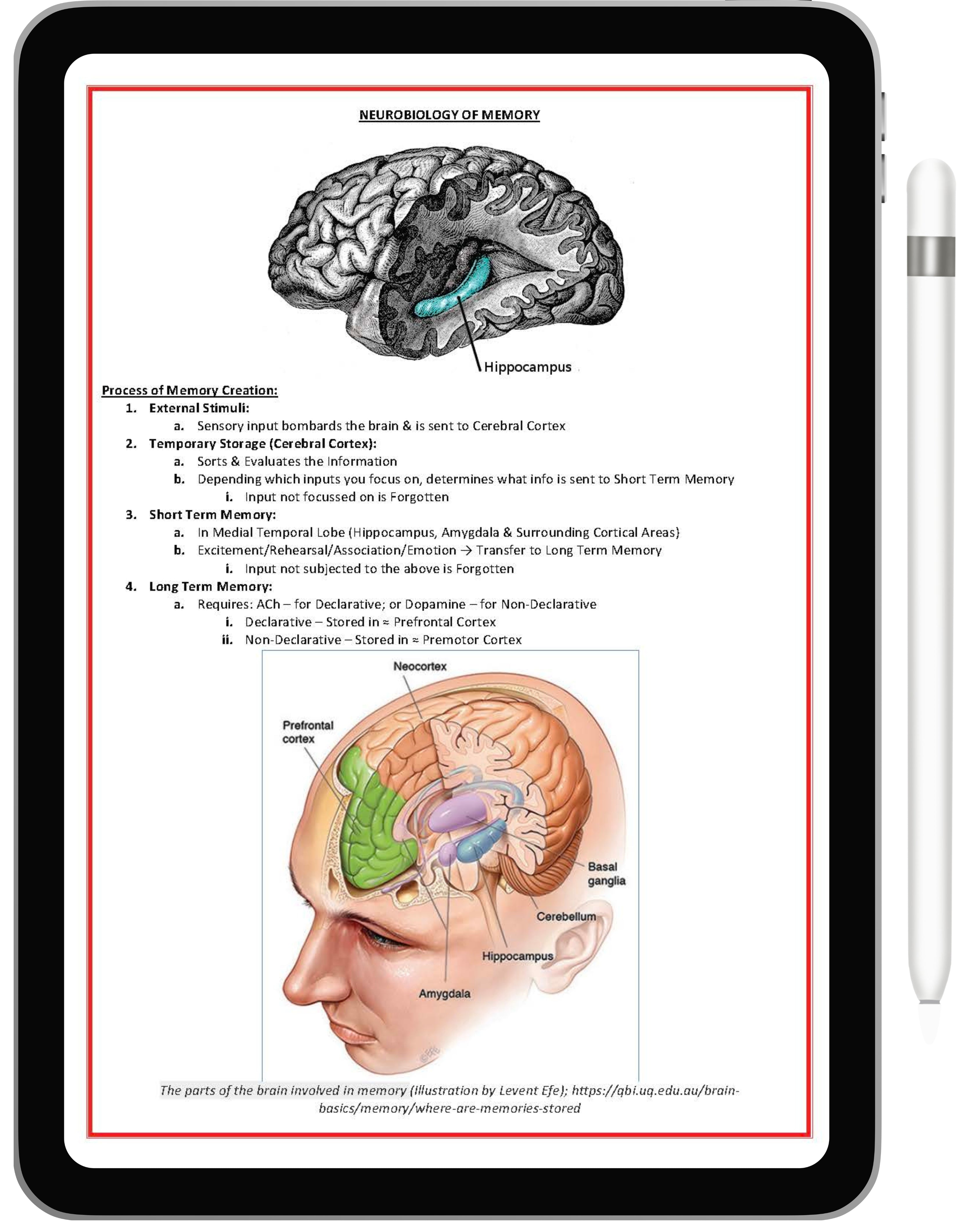 Mental Health & Psychiatry