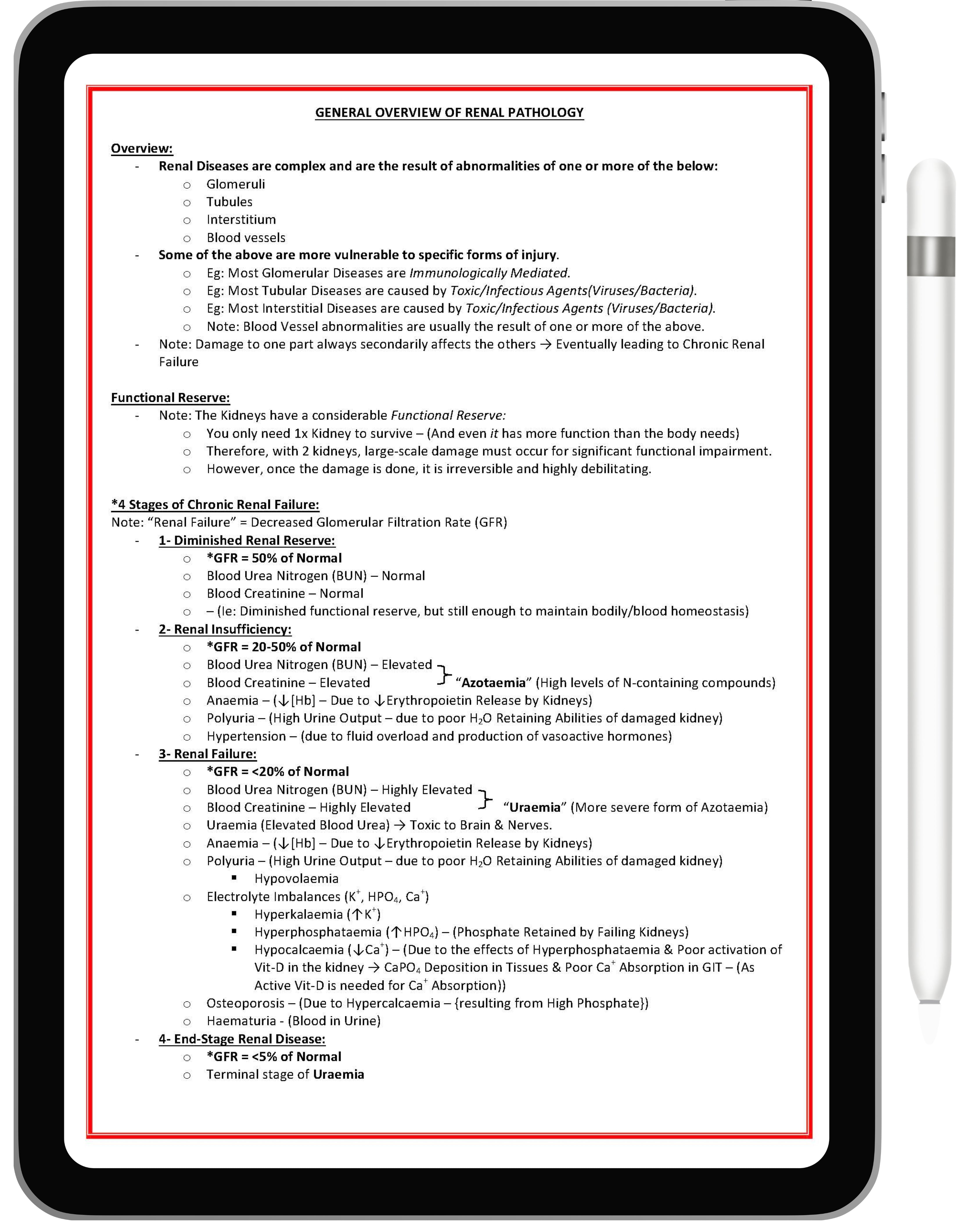 Renal or Urinary System