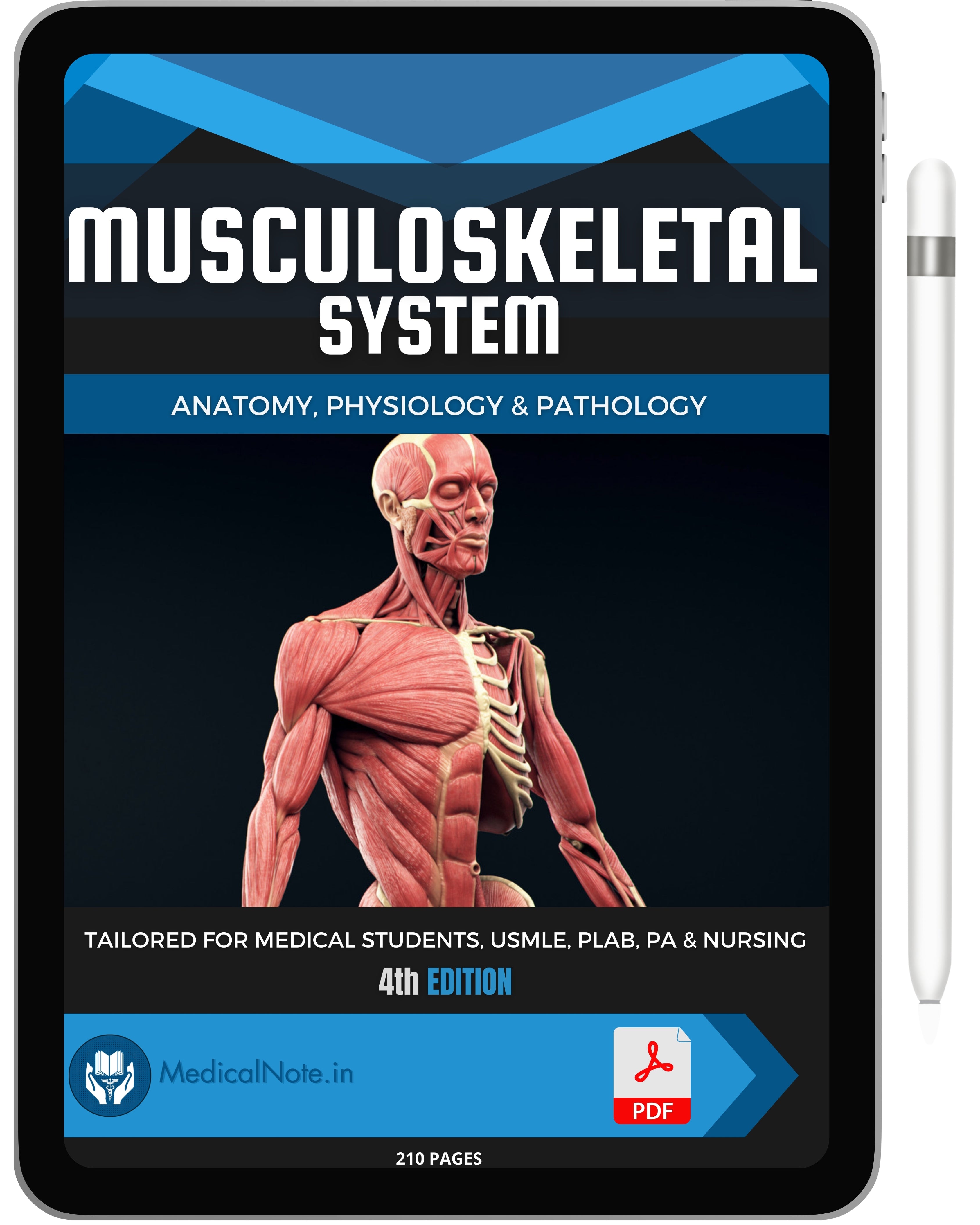 Musculoskeletal System