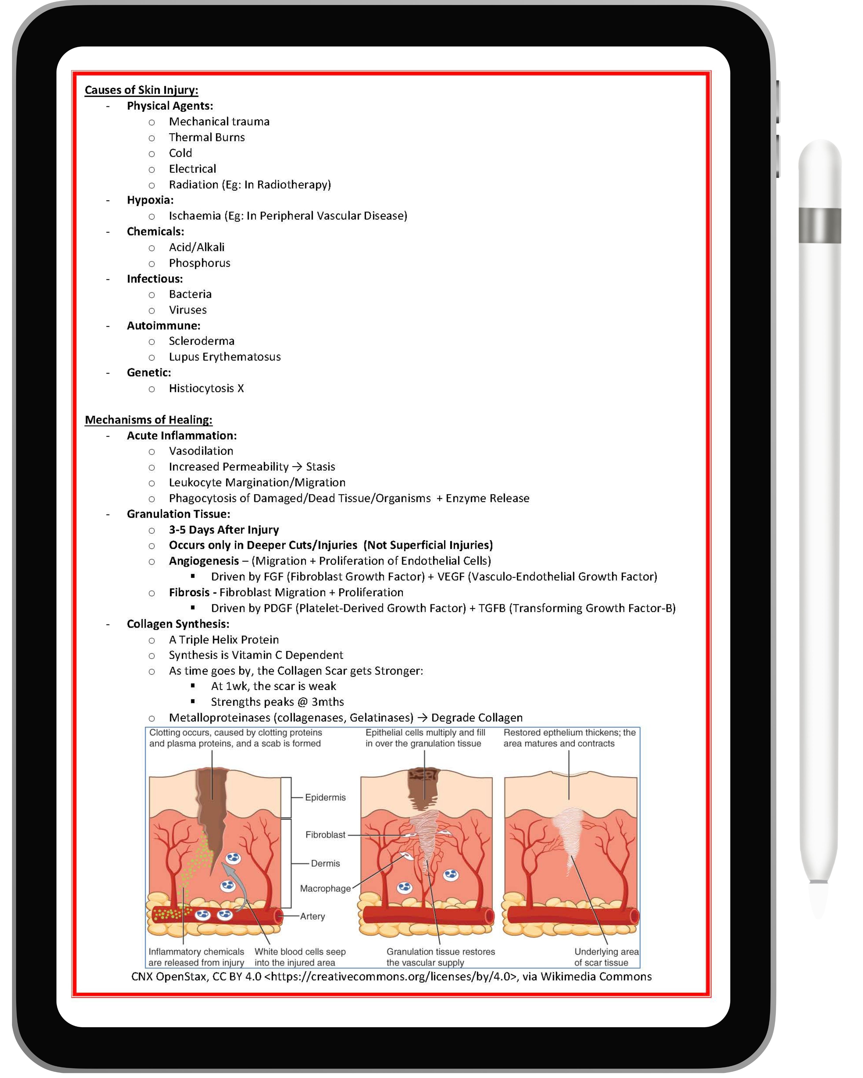 Clinical Dermatology