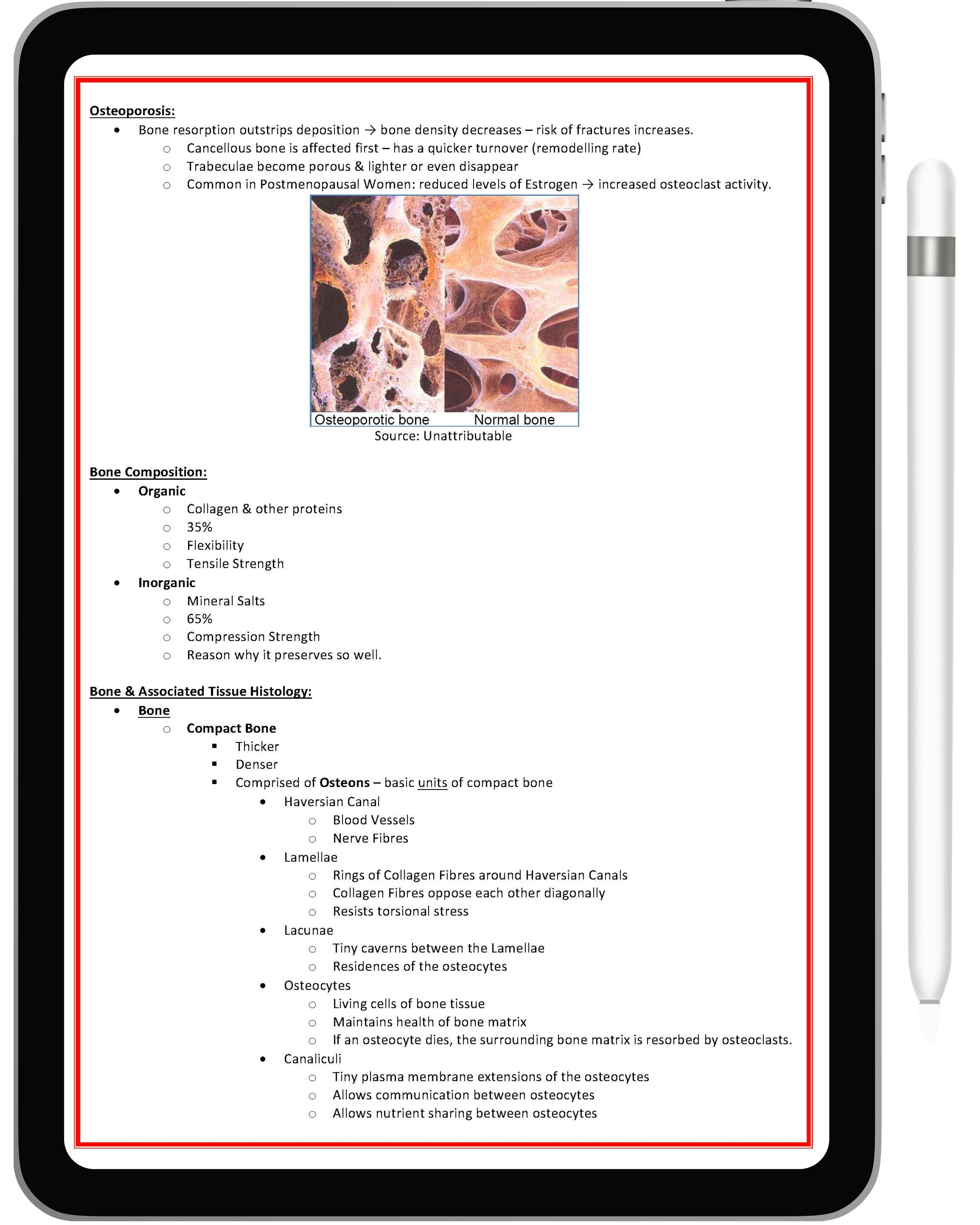 Musculoskeletal System