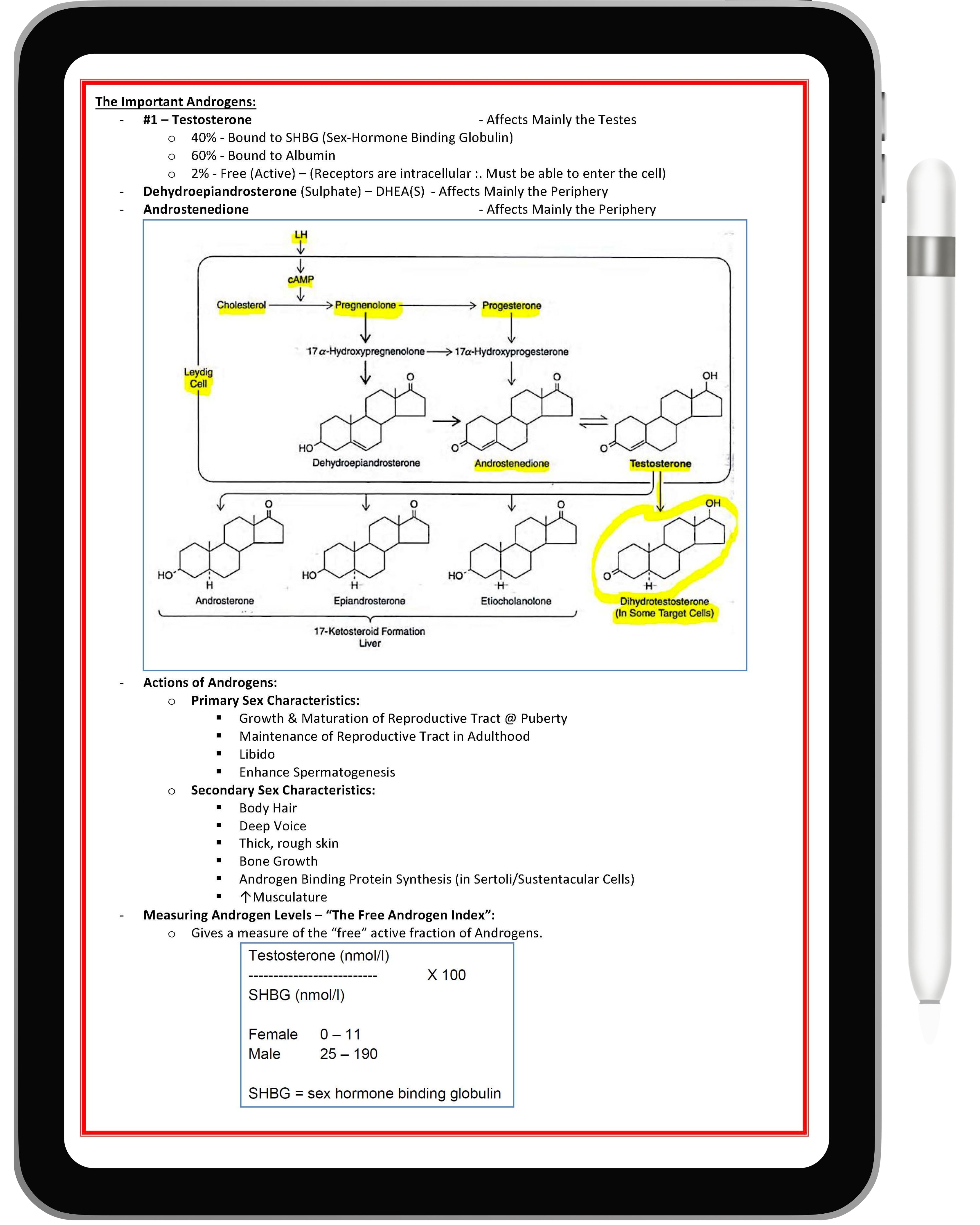 Endocrine System