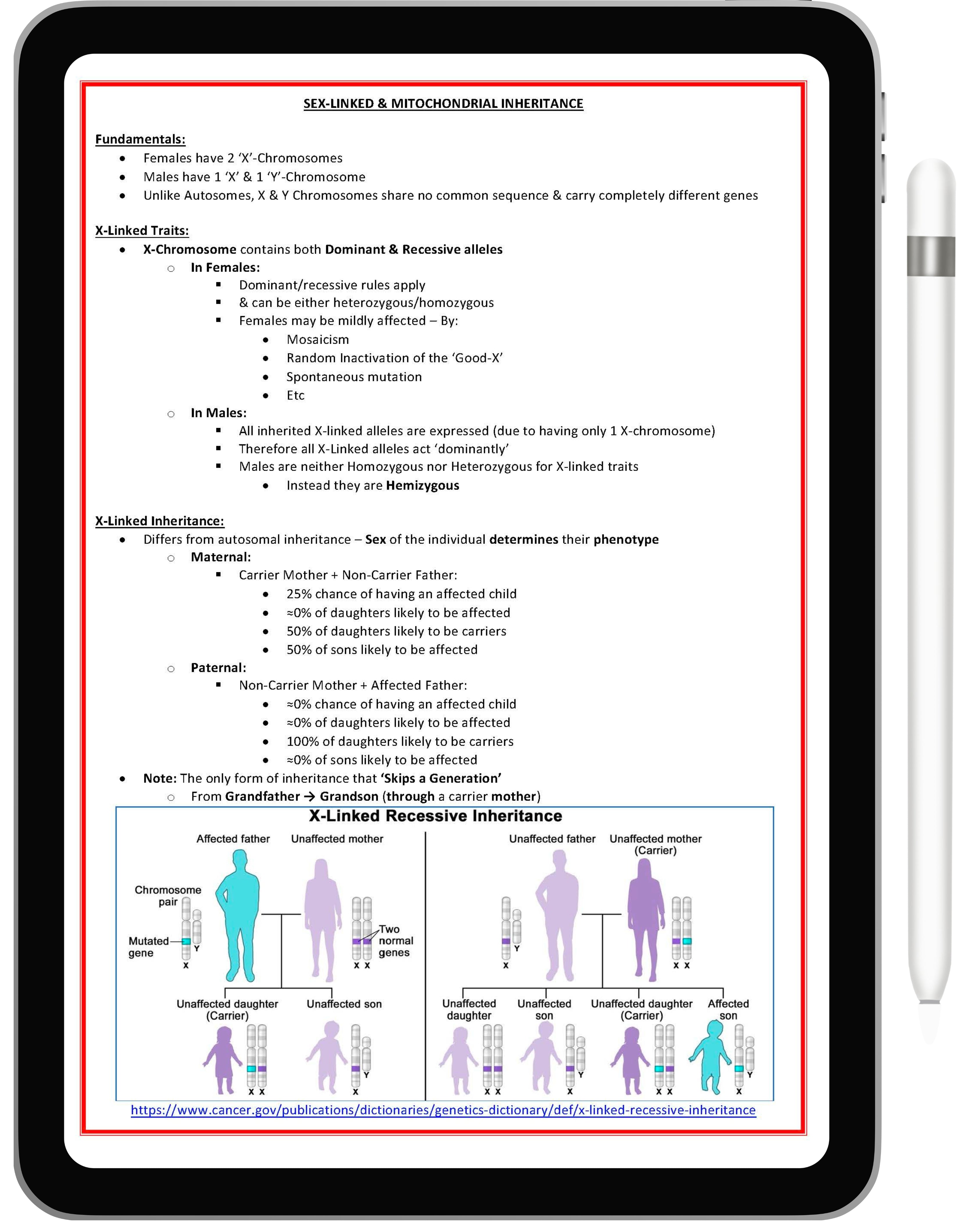 Genetics & Cancer