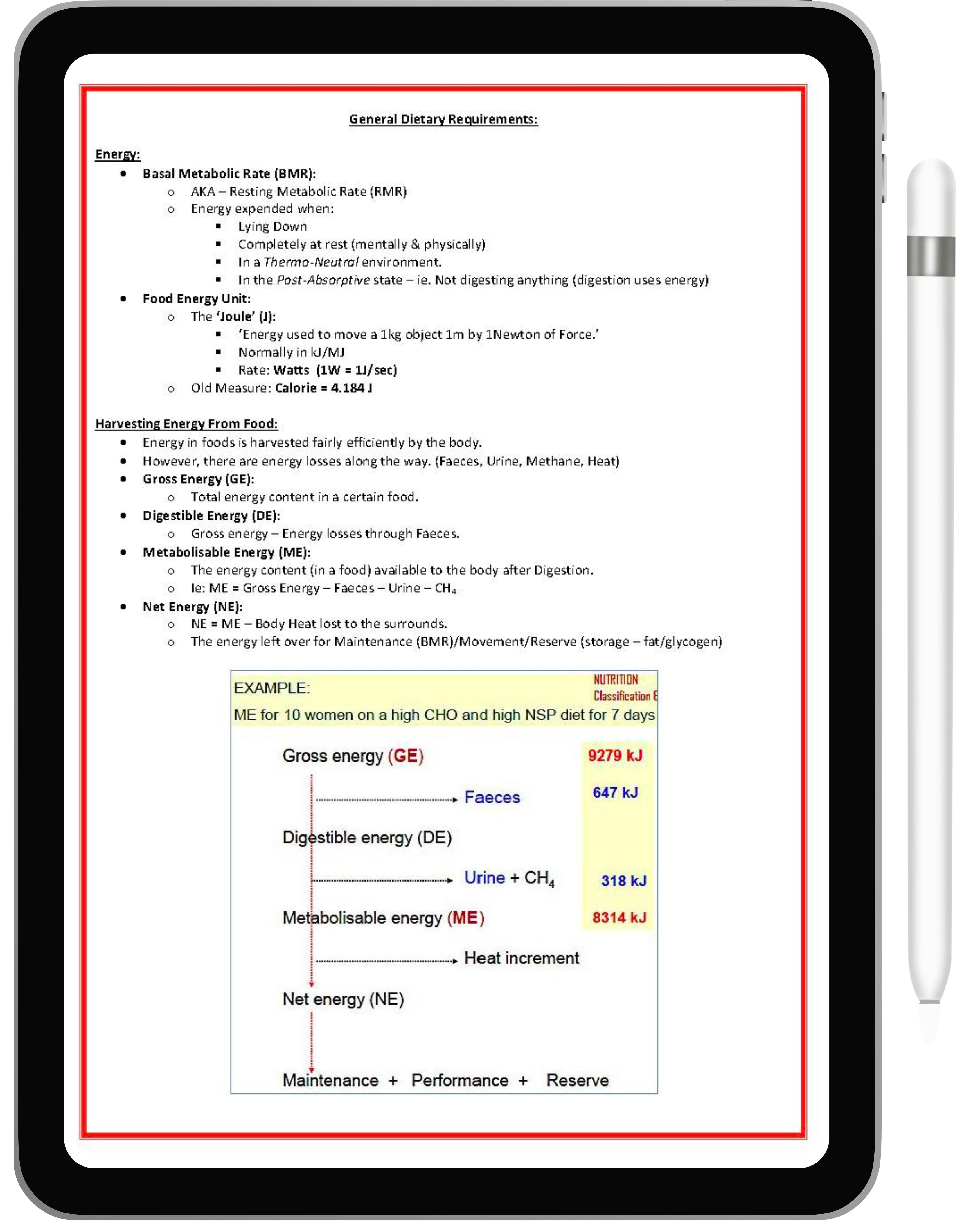 Gastrointestinal System