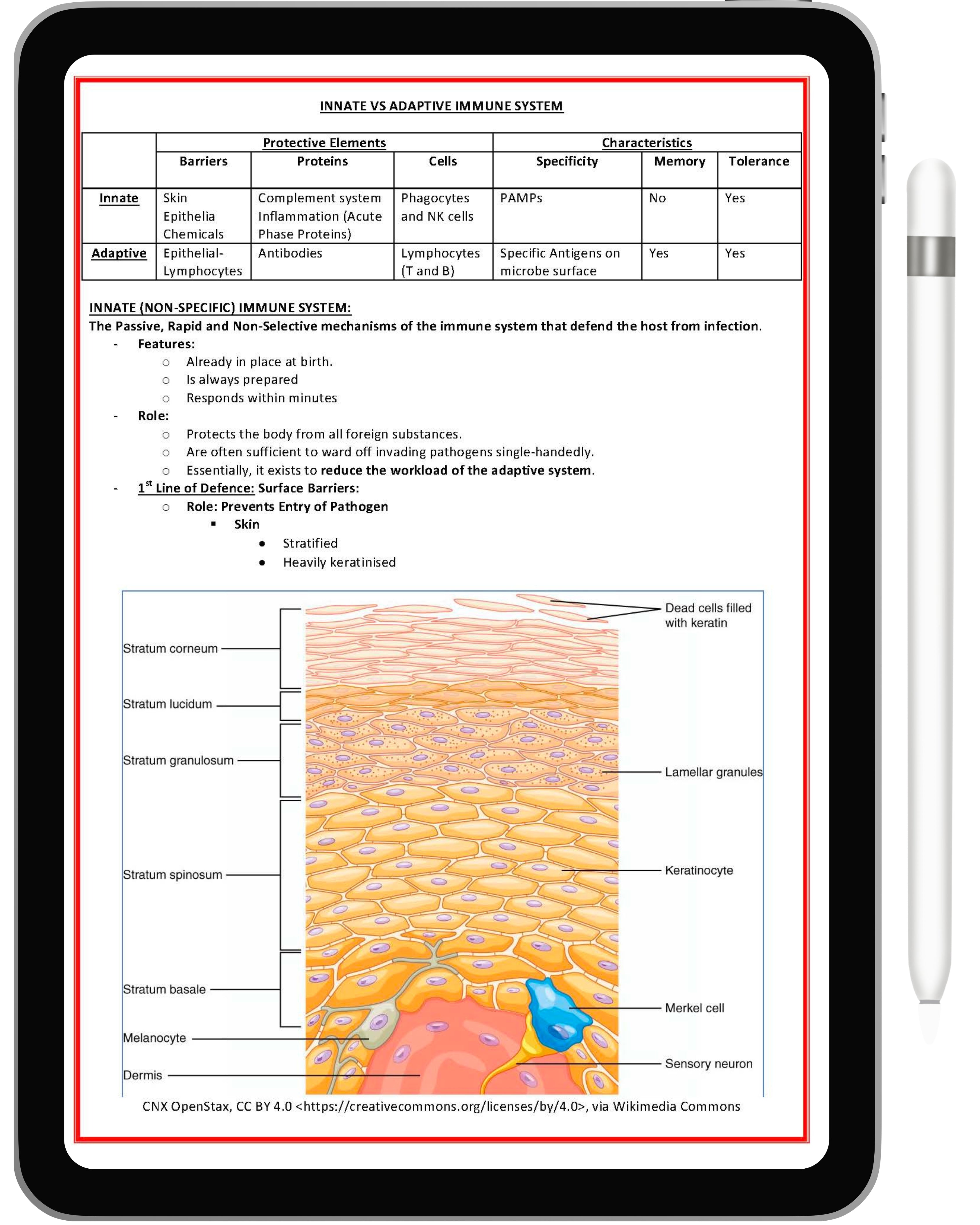 Immunology & Rheumatology