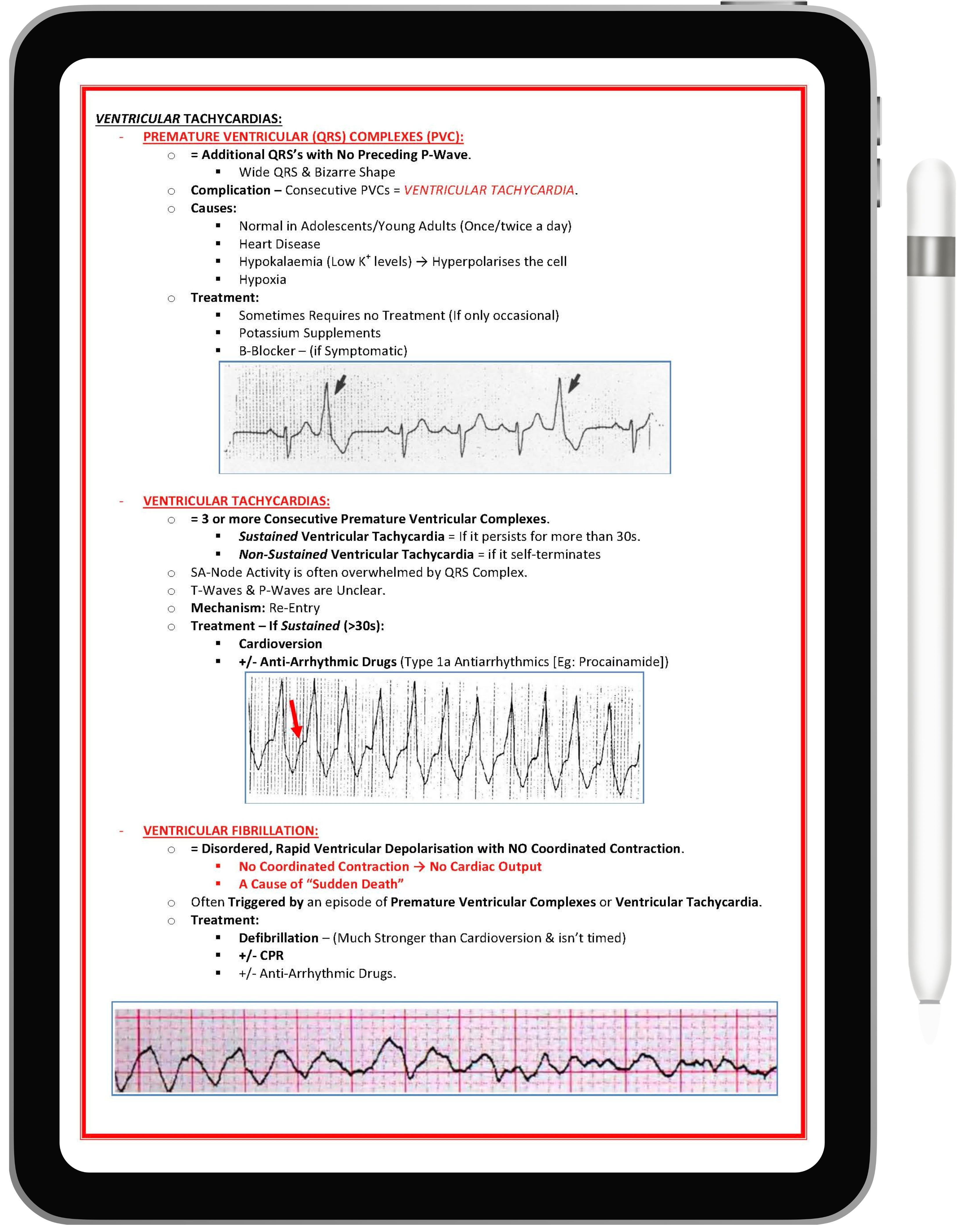 Cardiovascular System