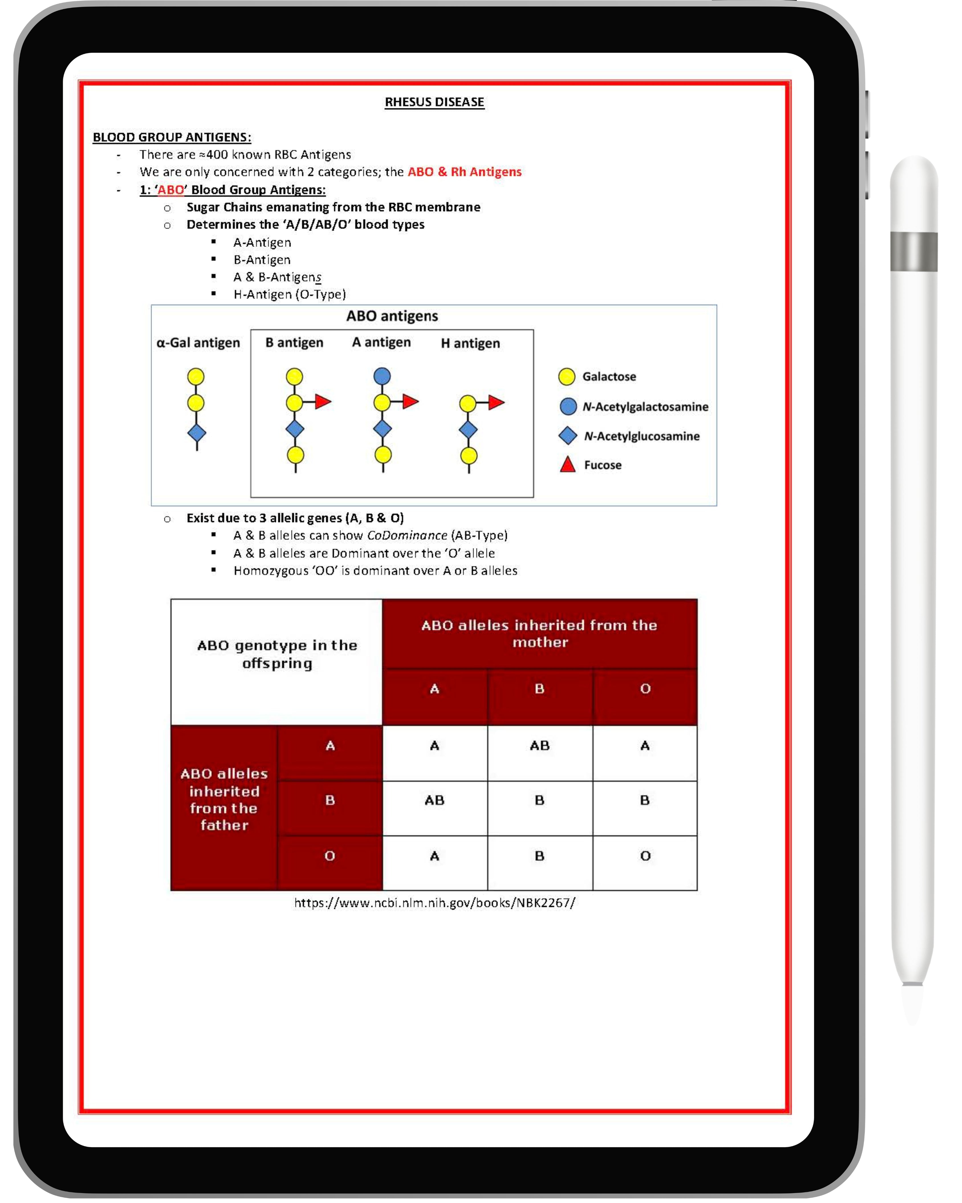 Clinical Obstetrics