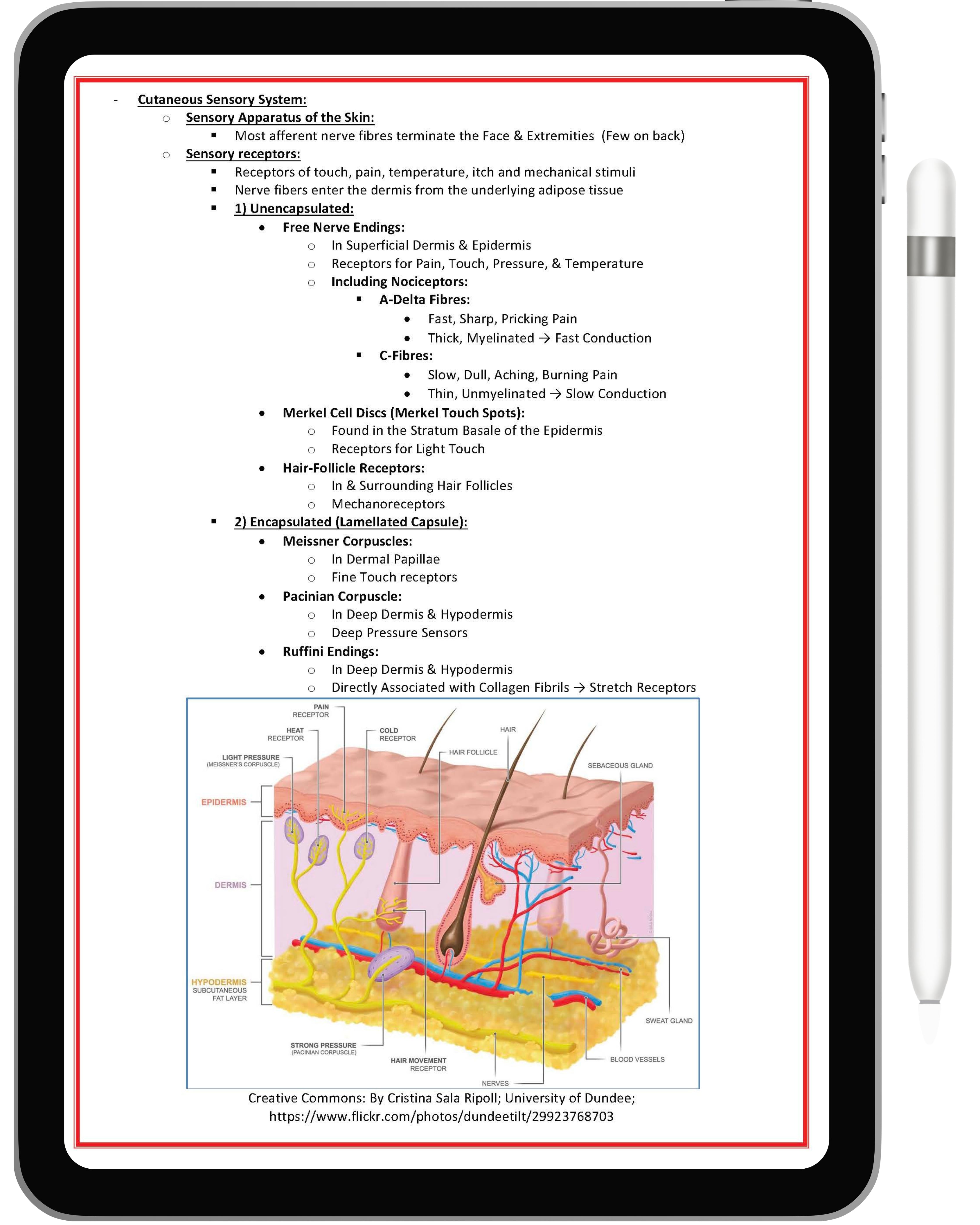 Clinical Dermatology