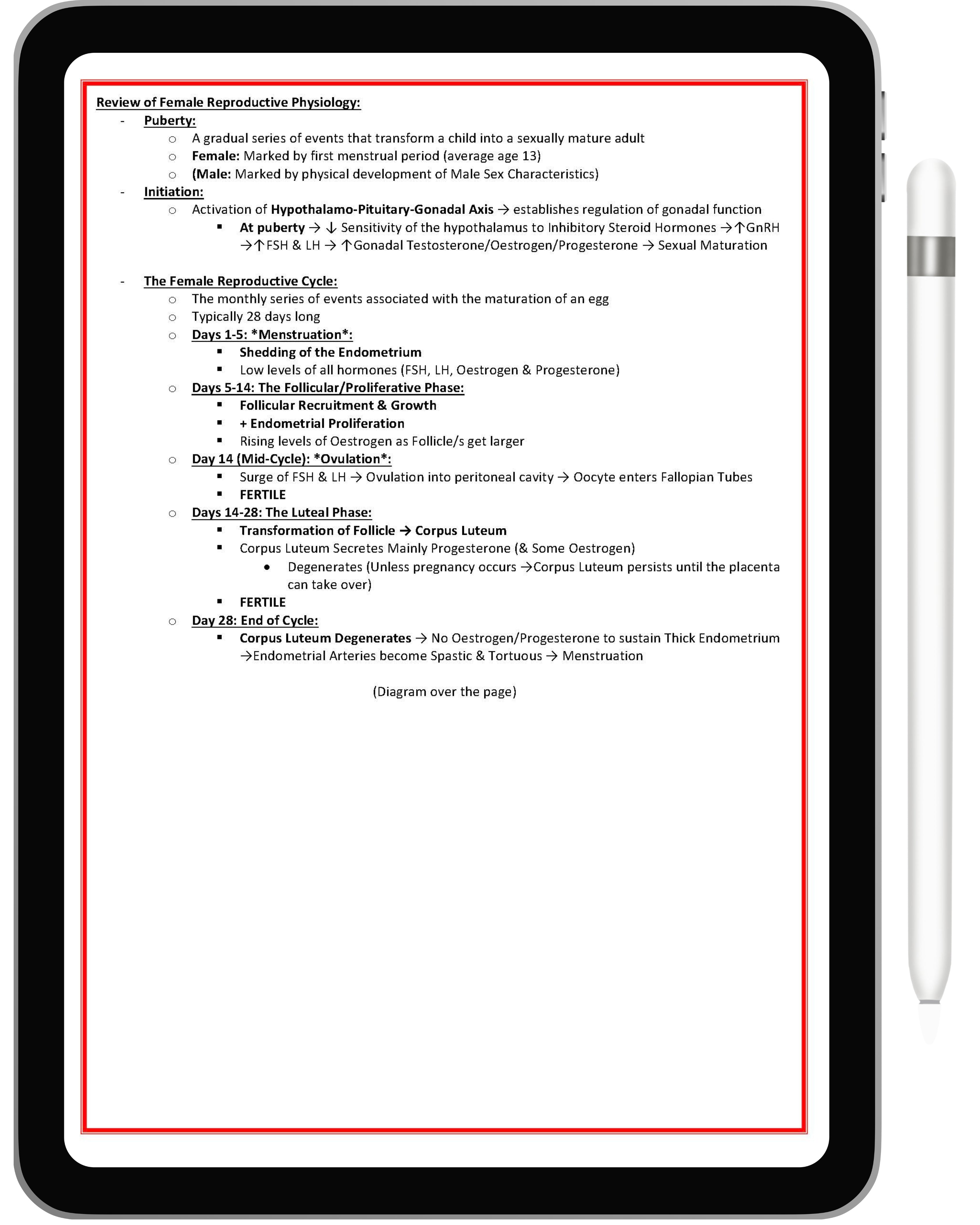 Clinical Obstetrics