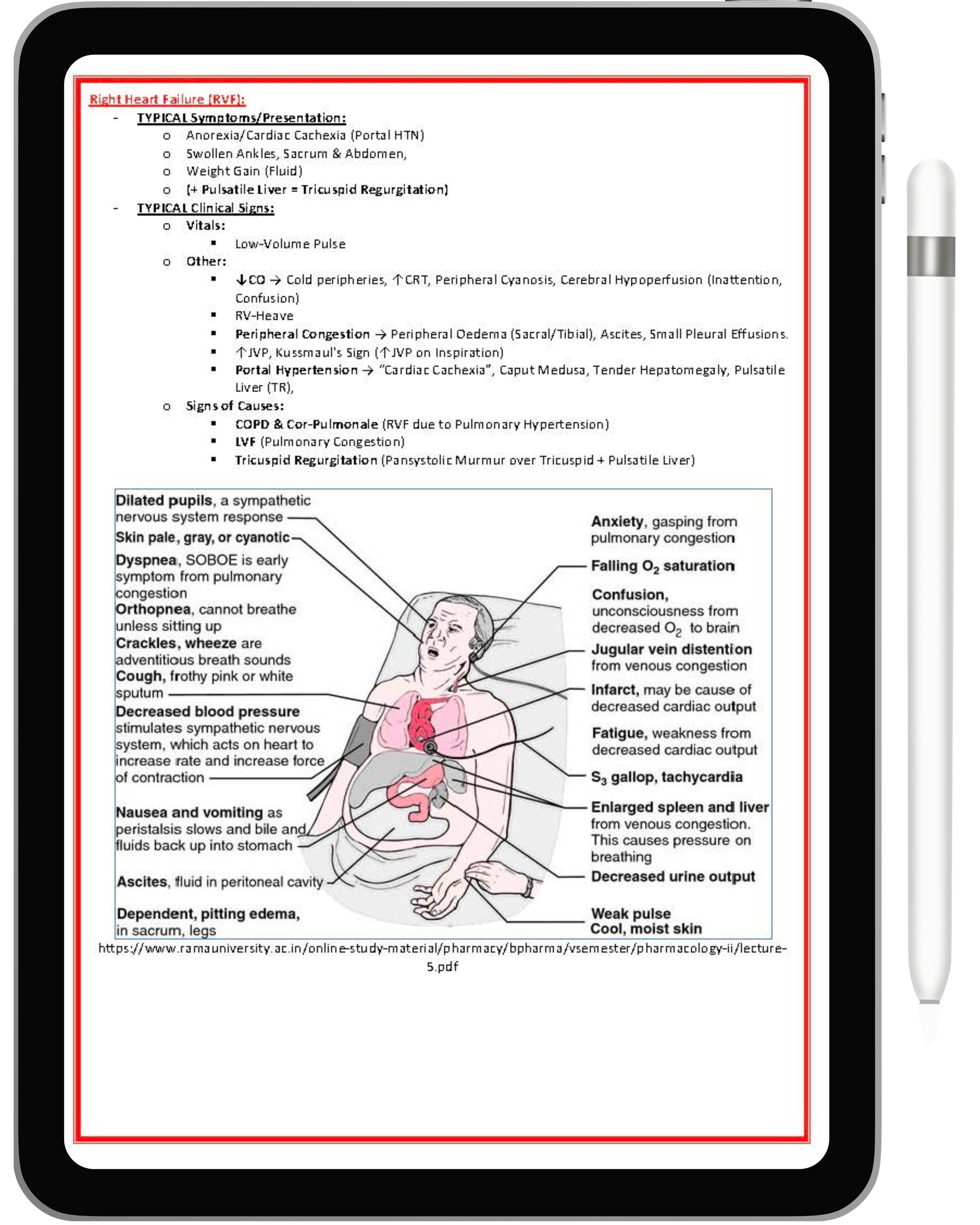 Clinical Skills & Examination