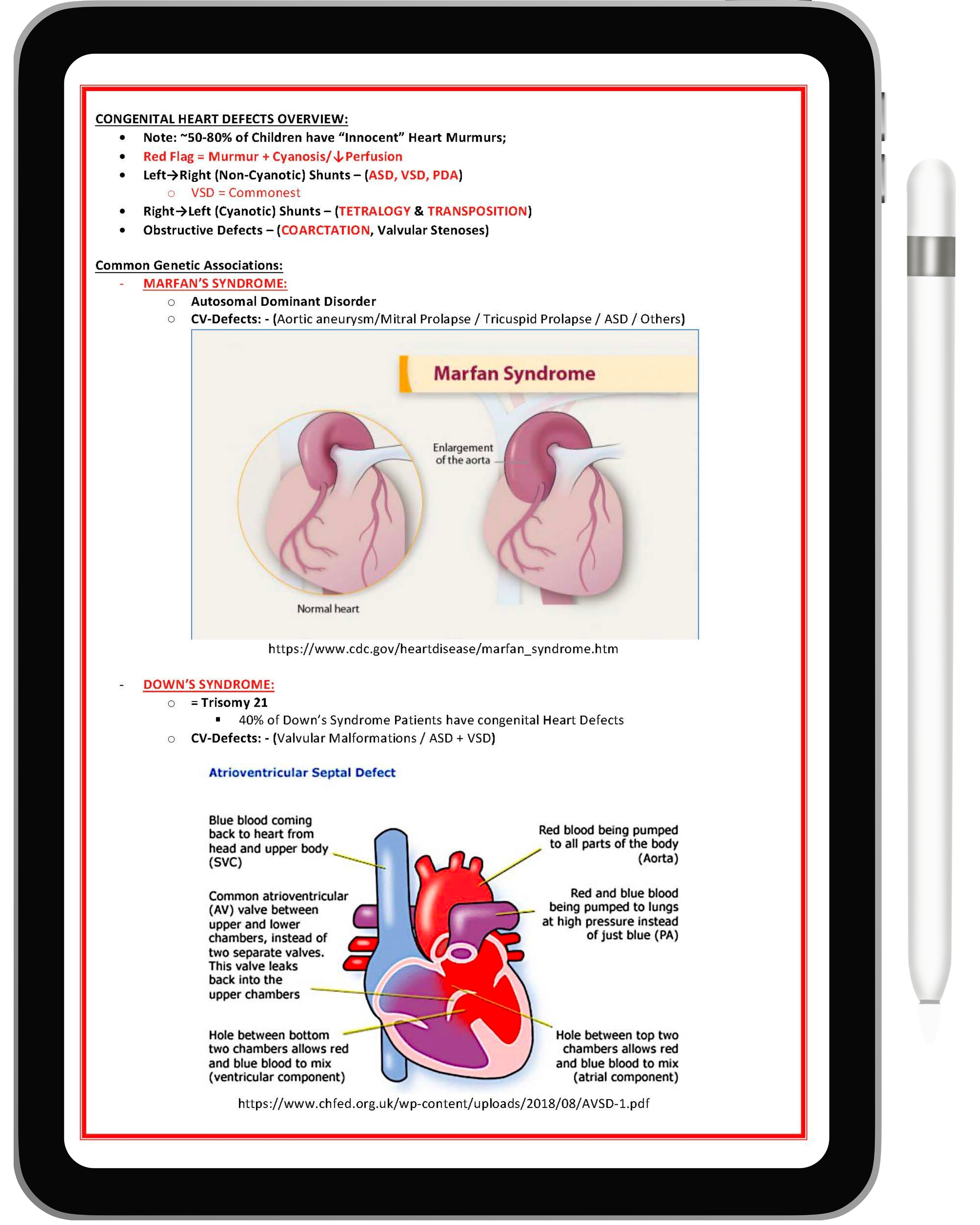 Cardiovascular System