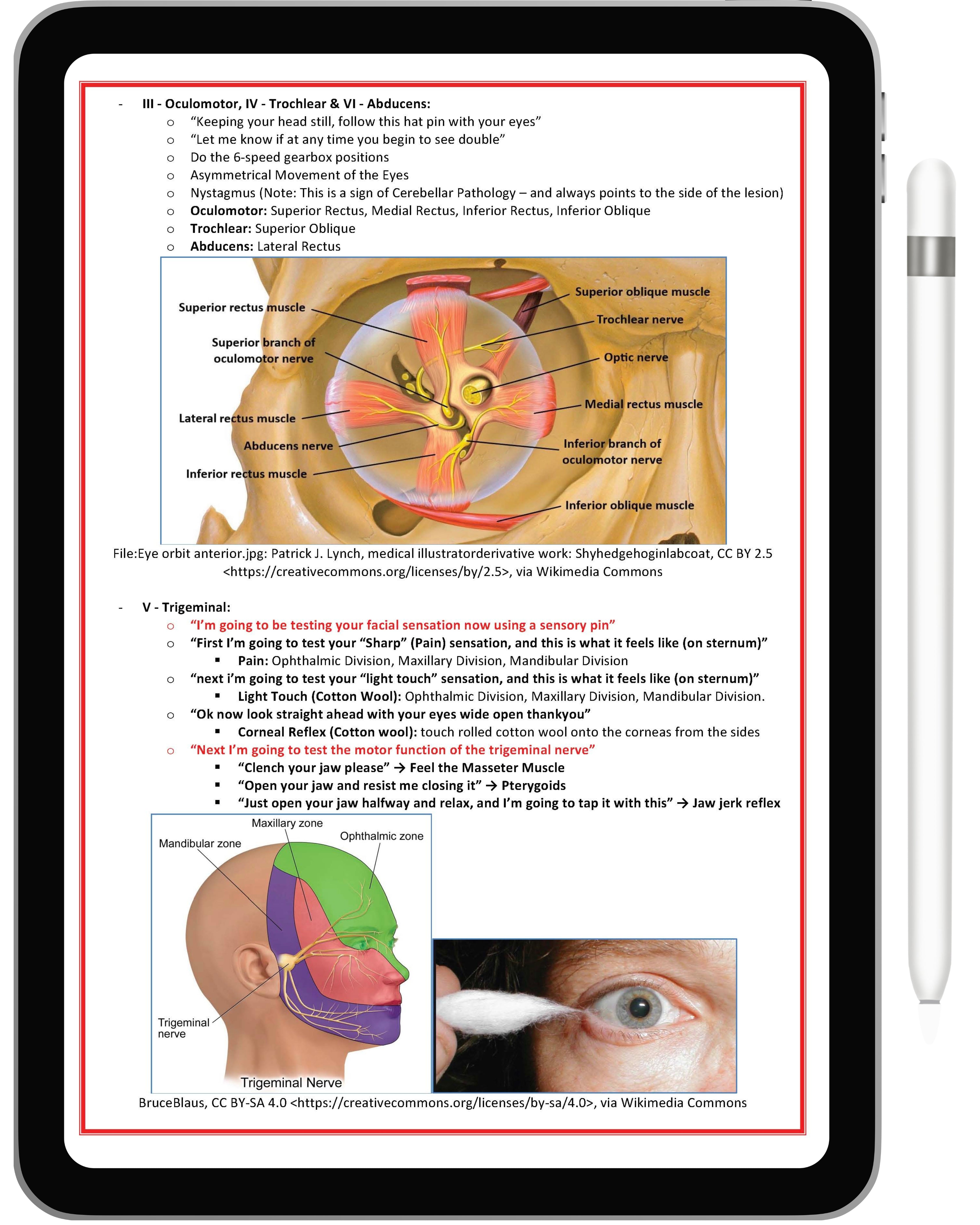 Clinical Skills & Examination