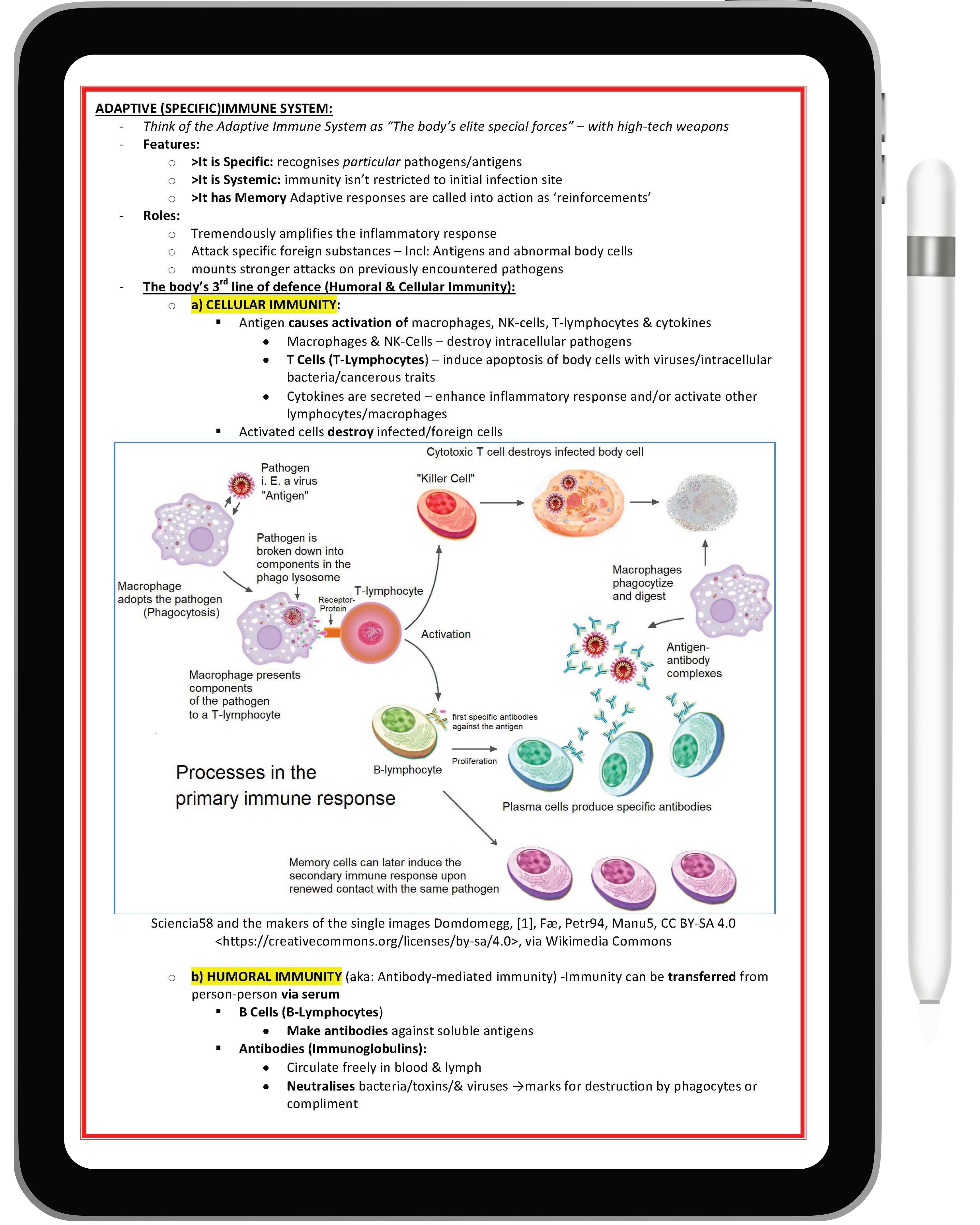 Clinical Haematology