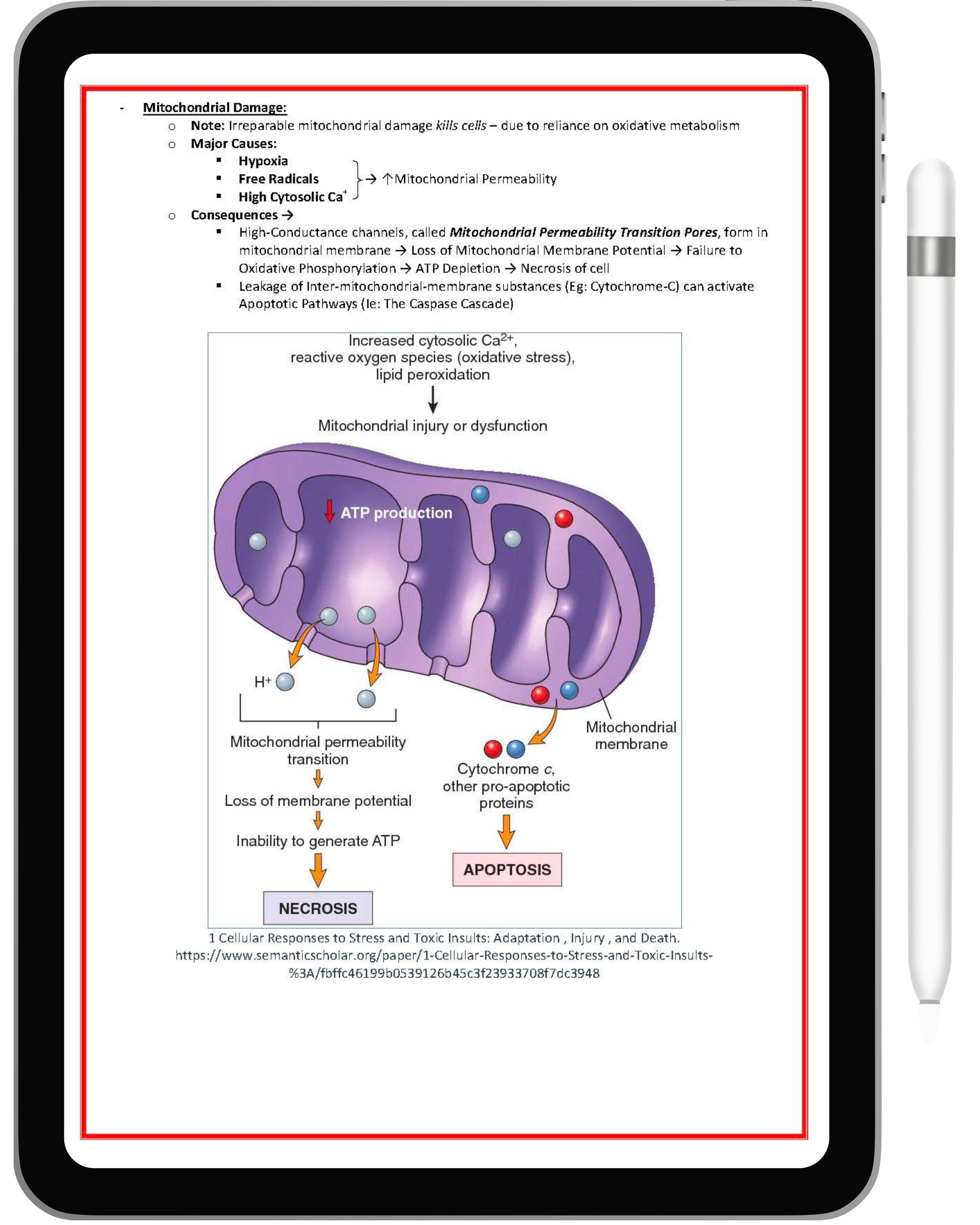 Cell Biology & Biochemistry