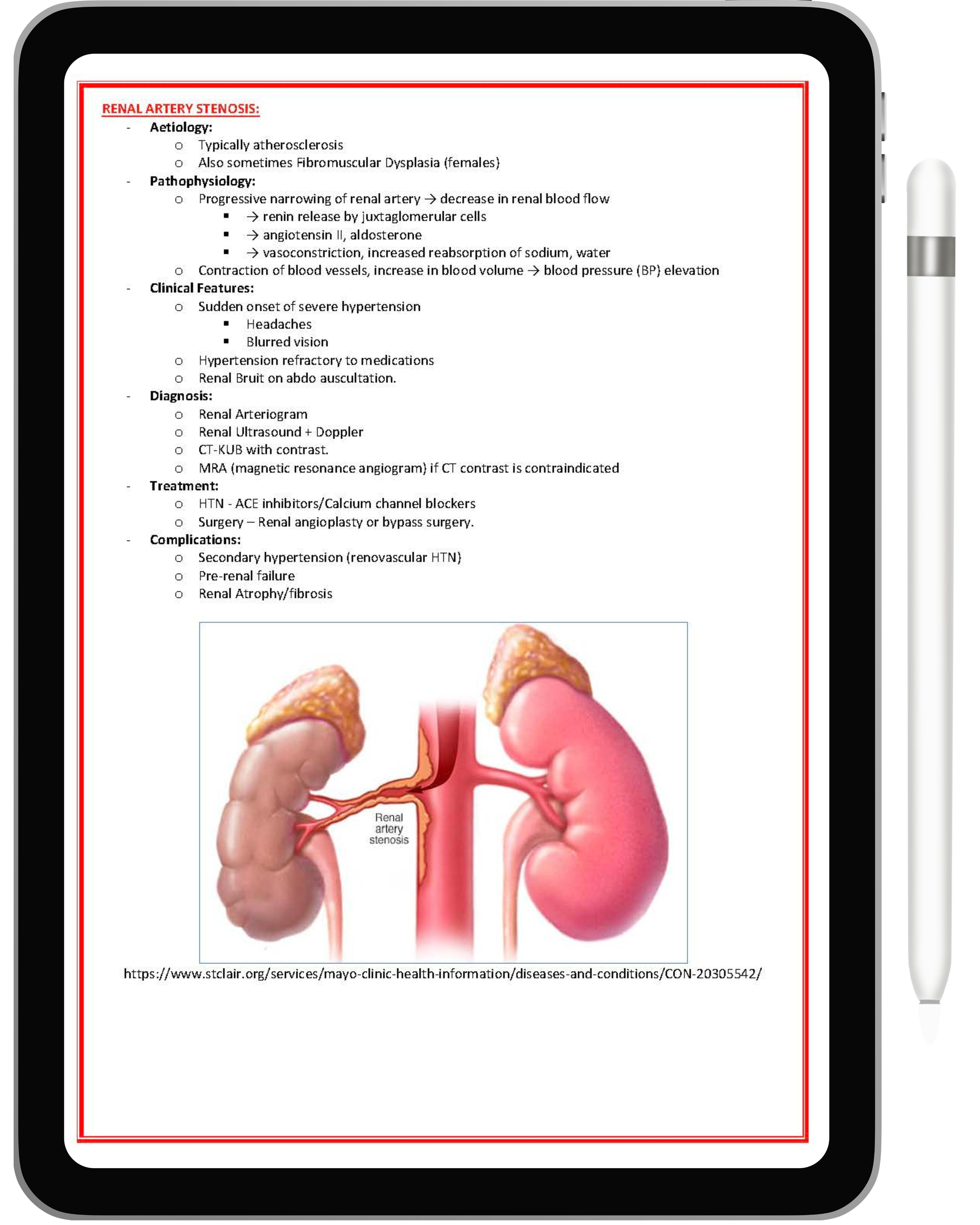 Renal or Urinary System