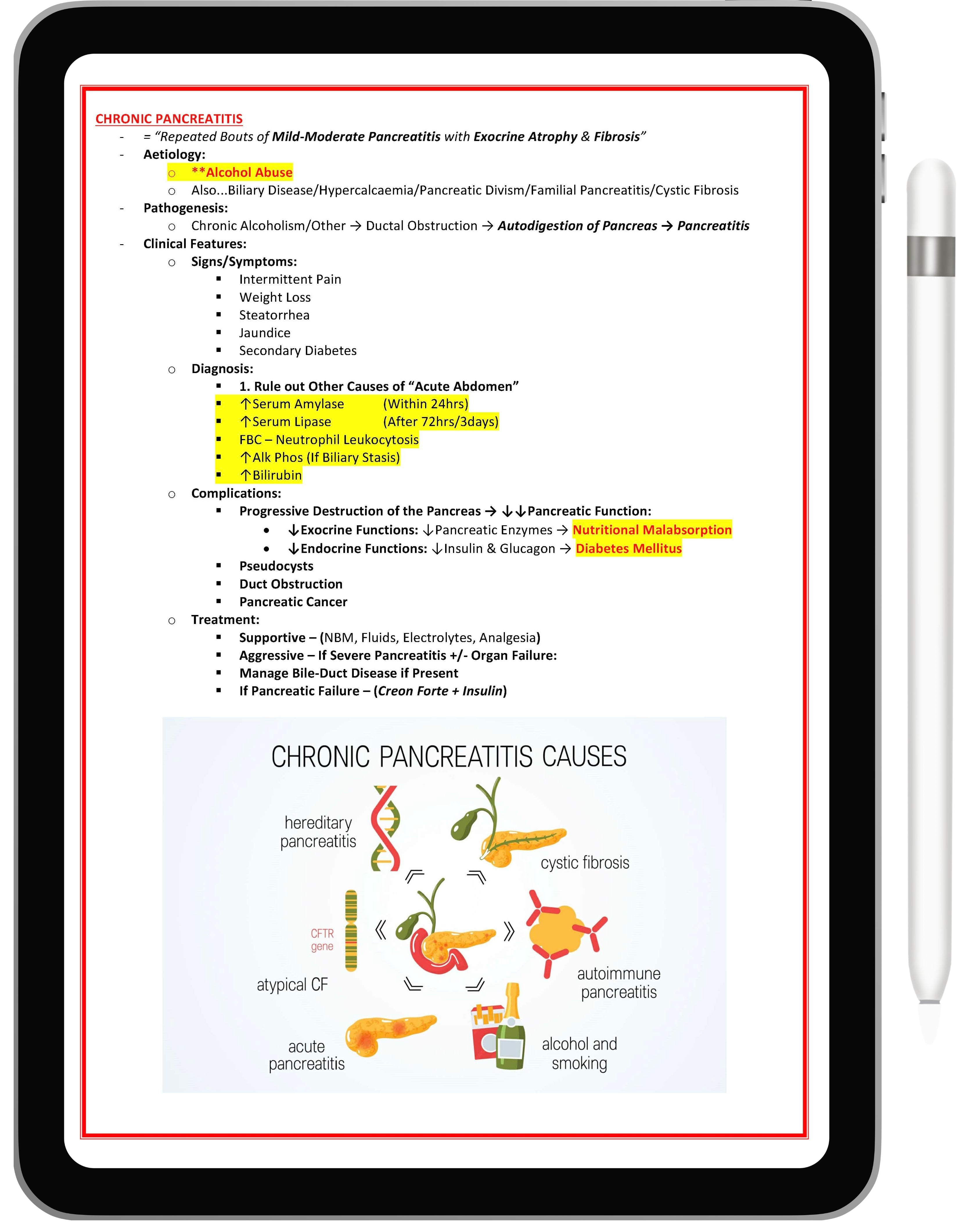 Gastrointestinal System