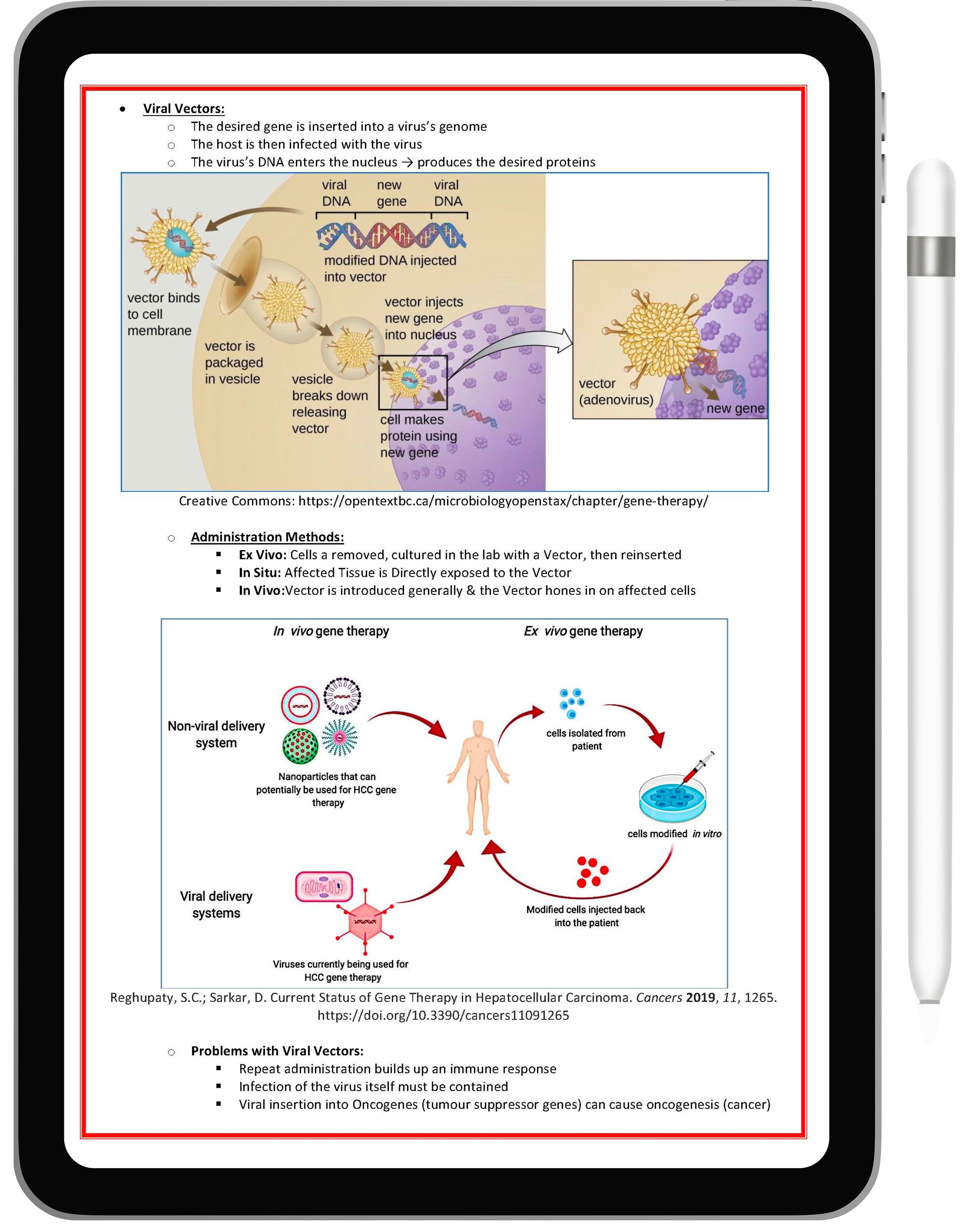 Genetics & Cancer