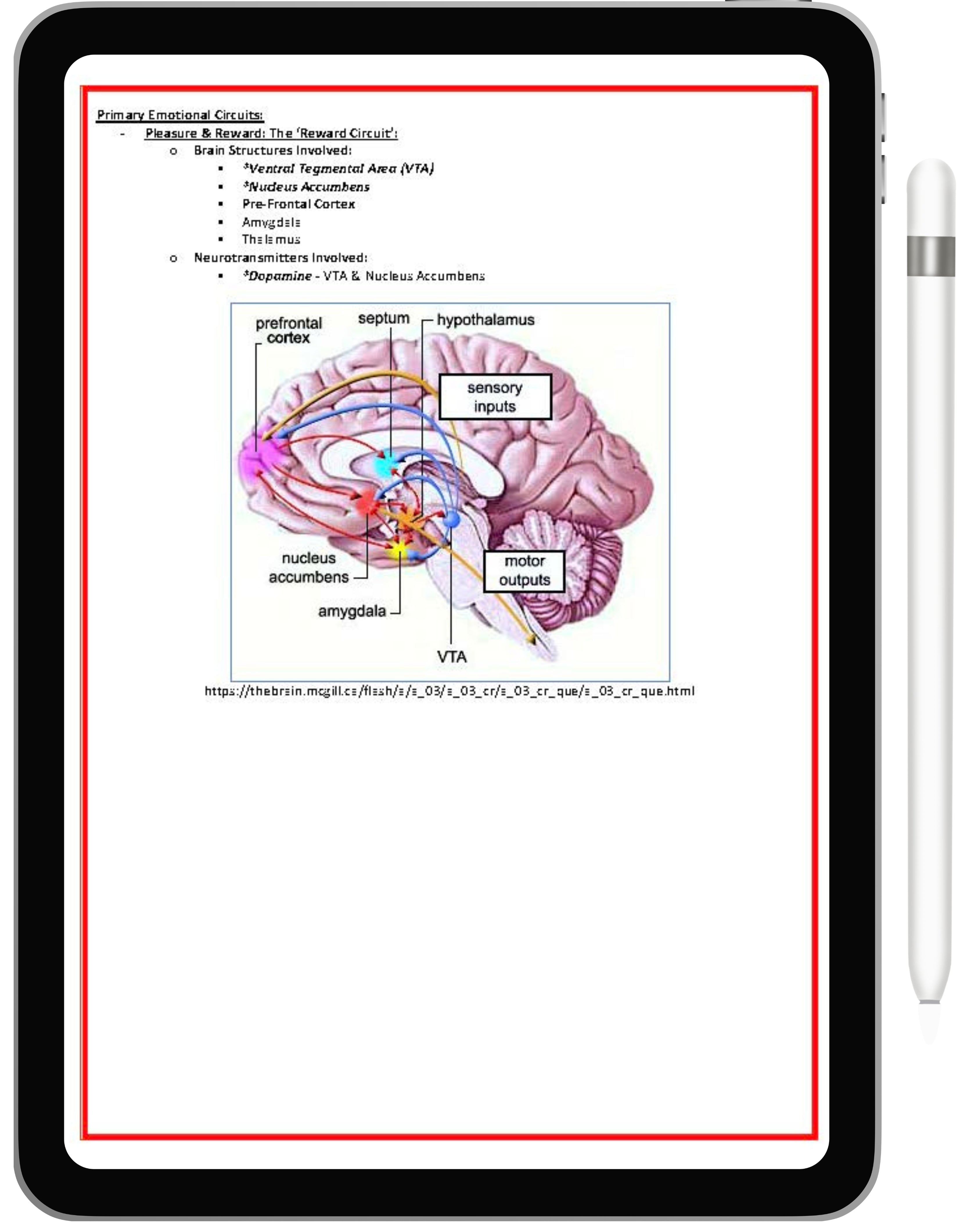 Mental Health & Psychiatry