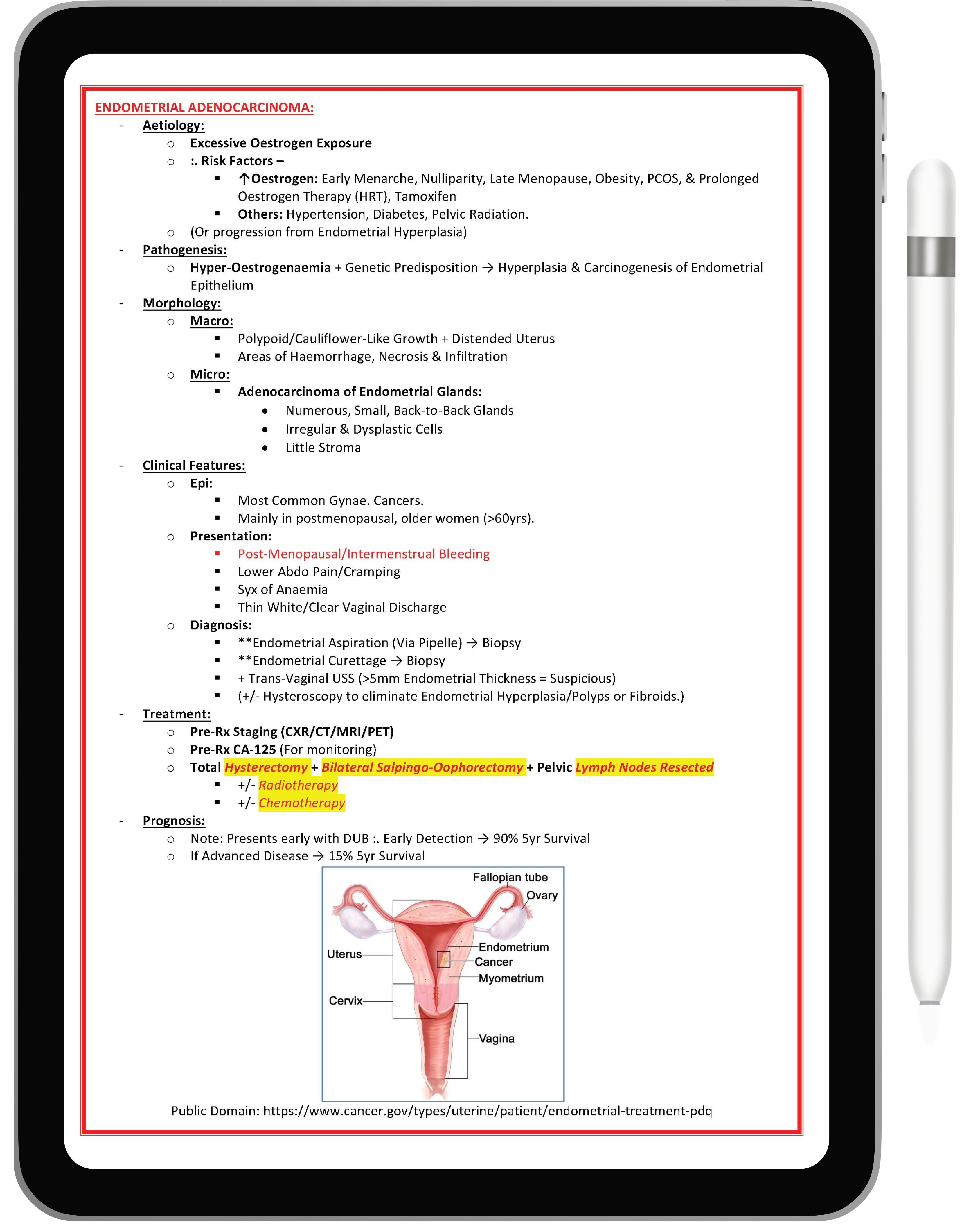 Sexual and Reproductive Health