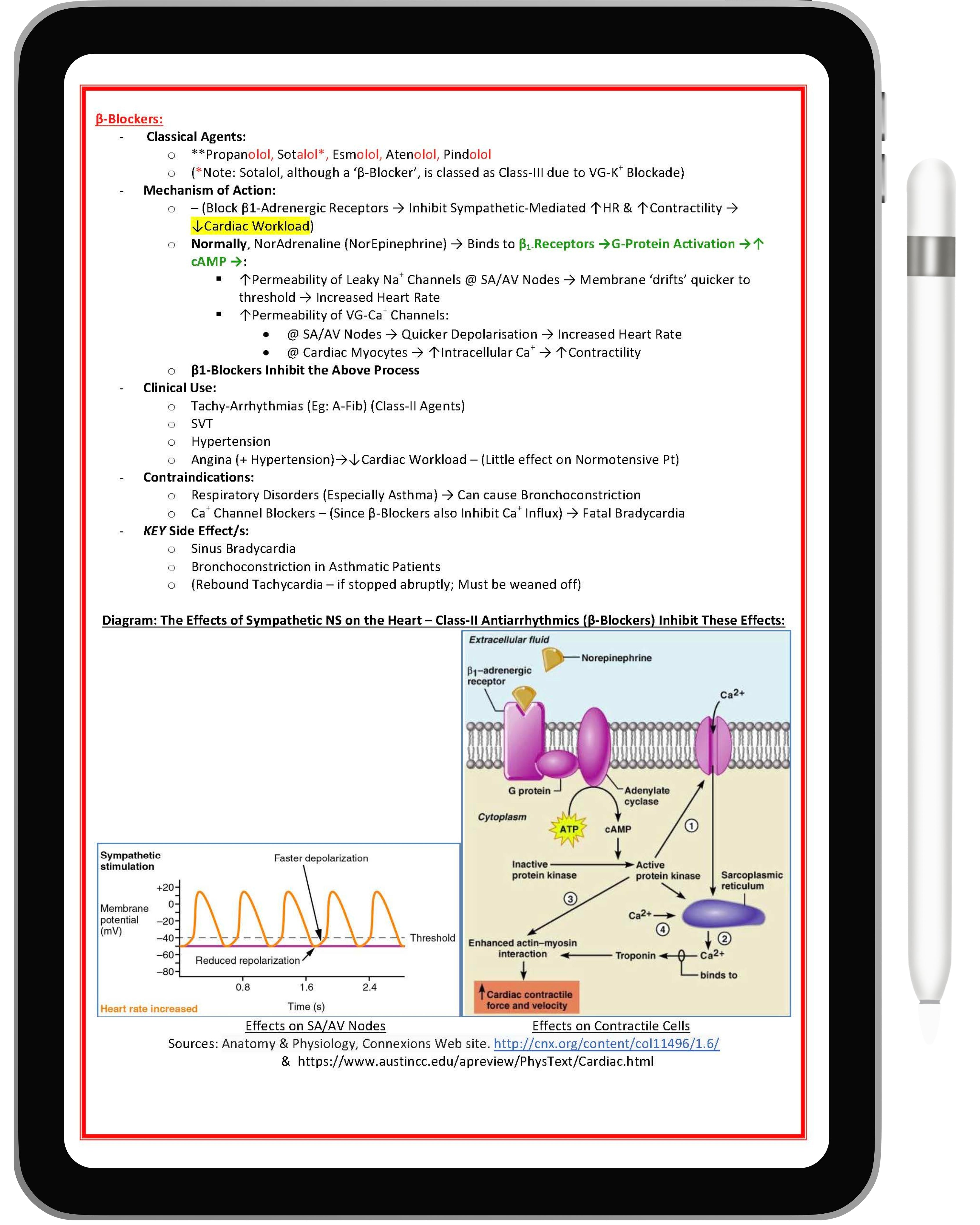 Pharmacology & Toxicology