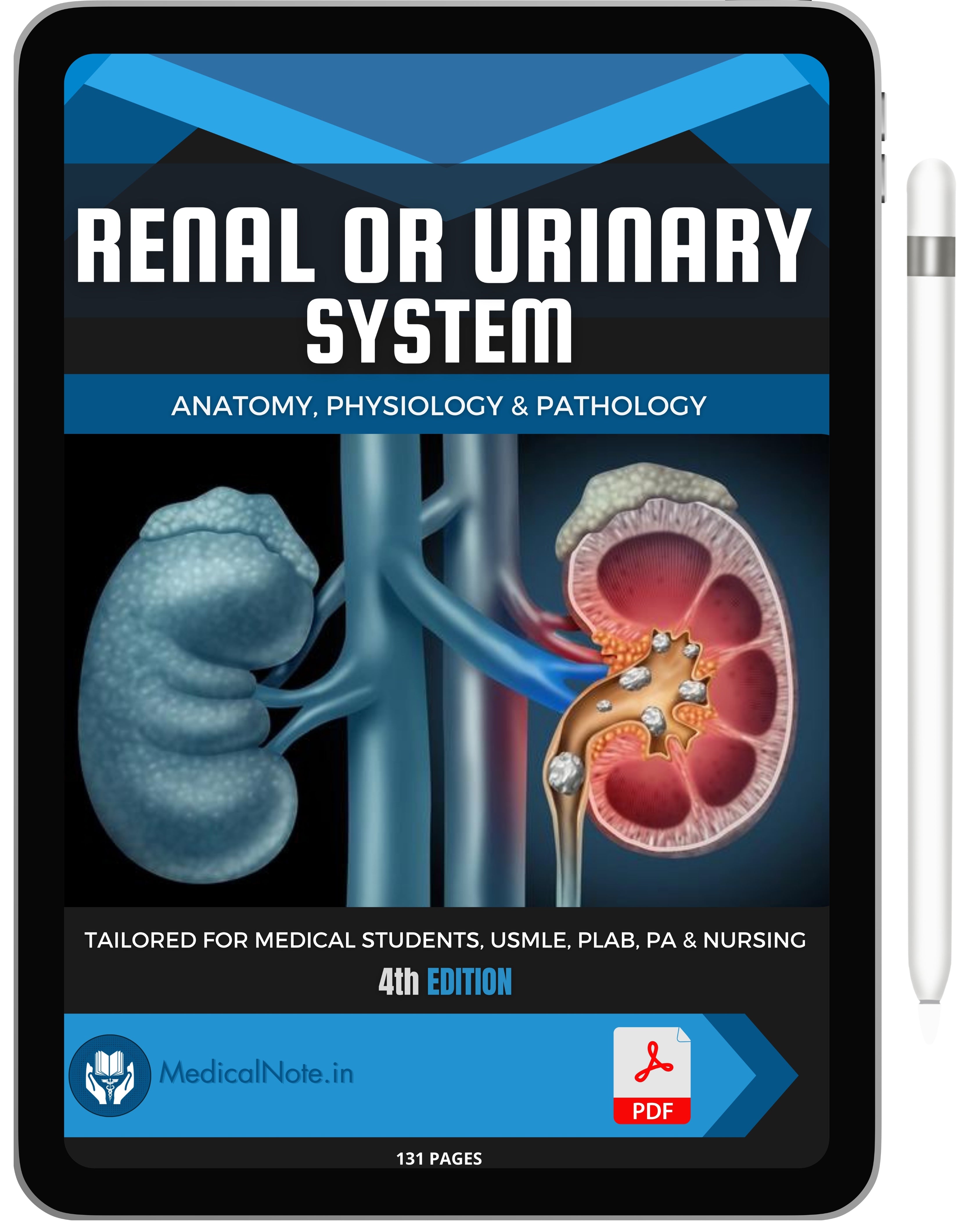 Renal or Urinary System