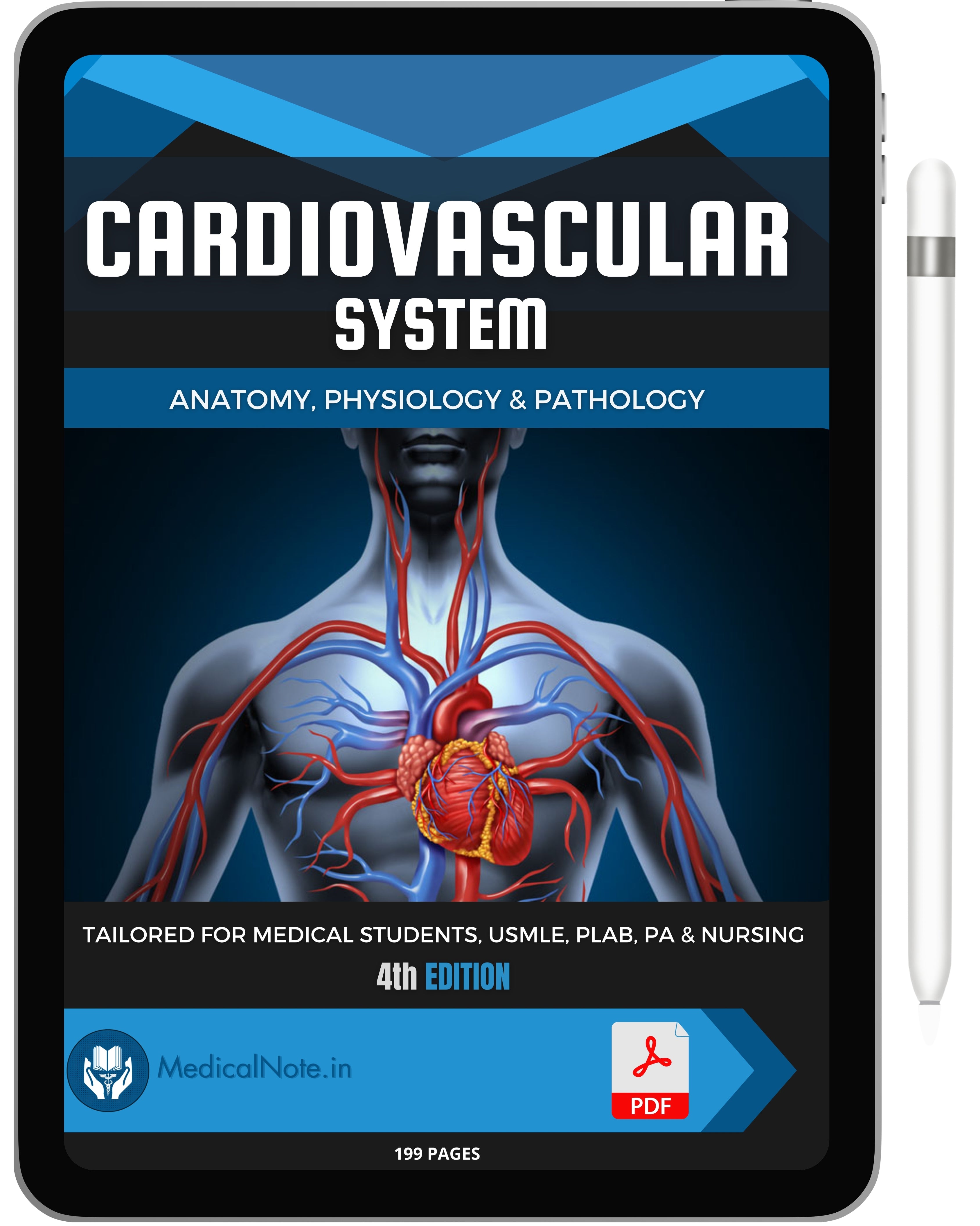 Cardiovascular System