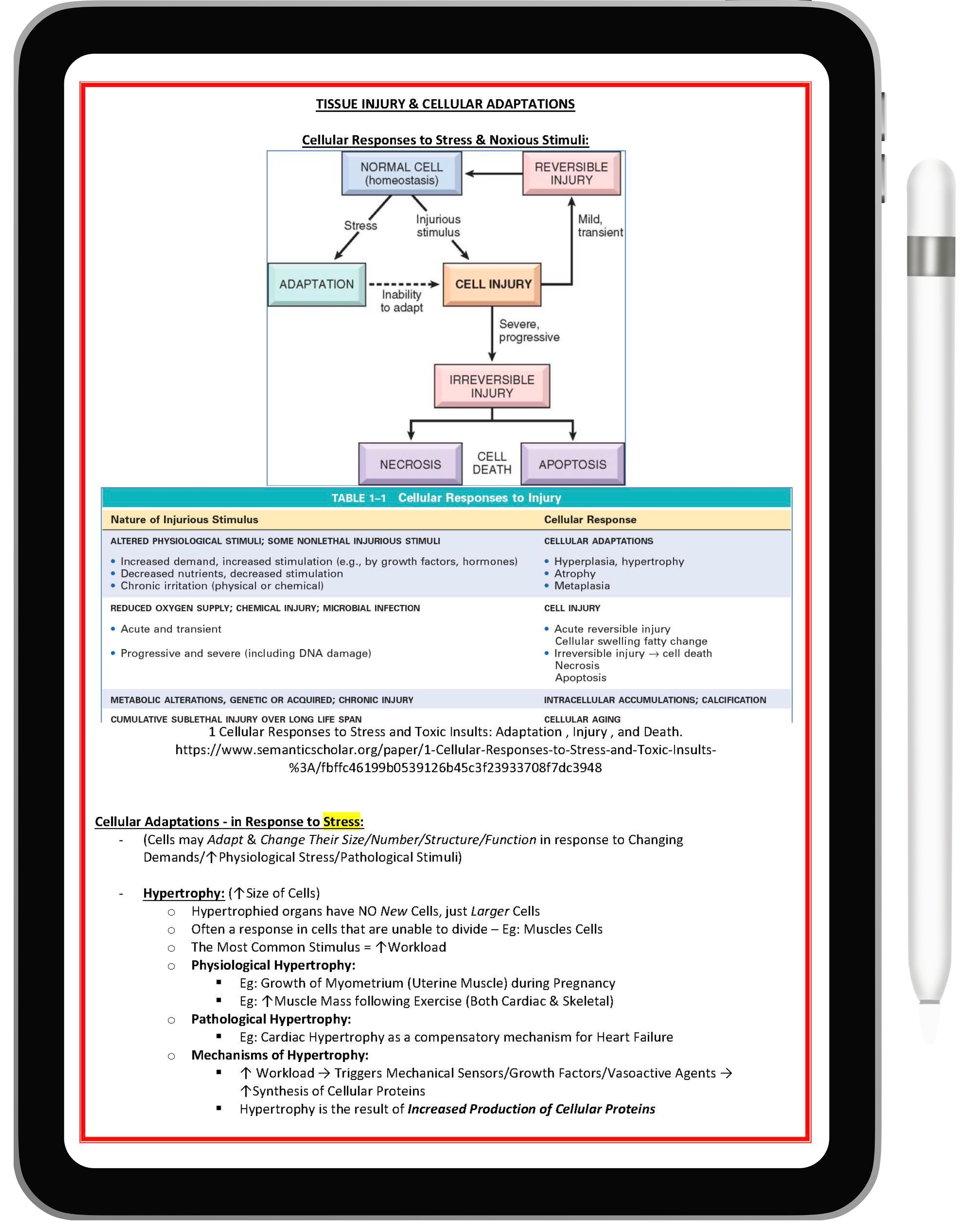 Cell Biology & Biochemistry