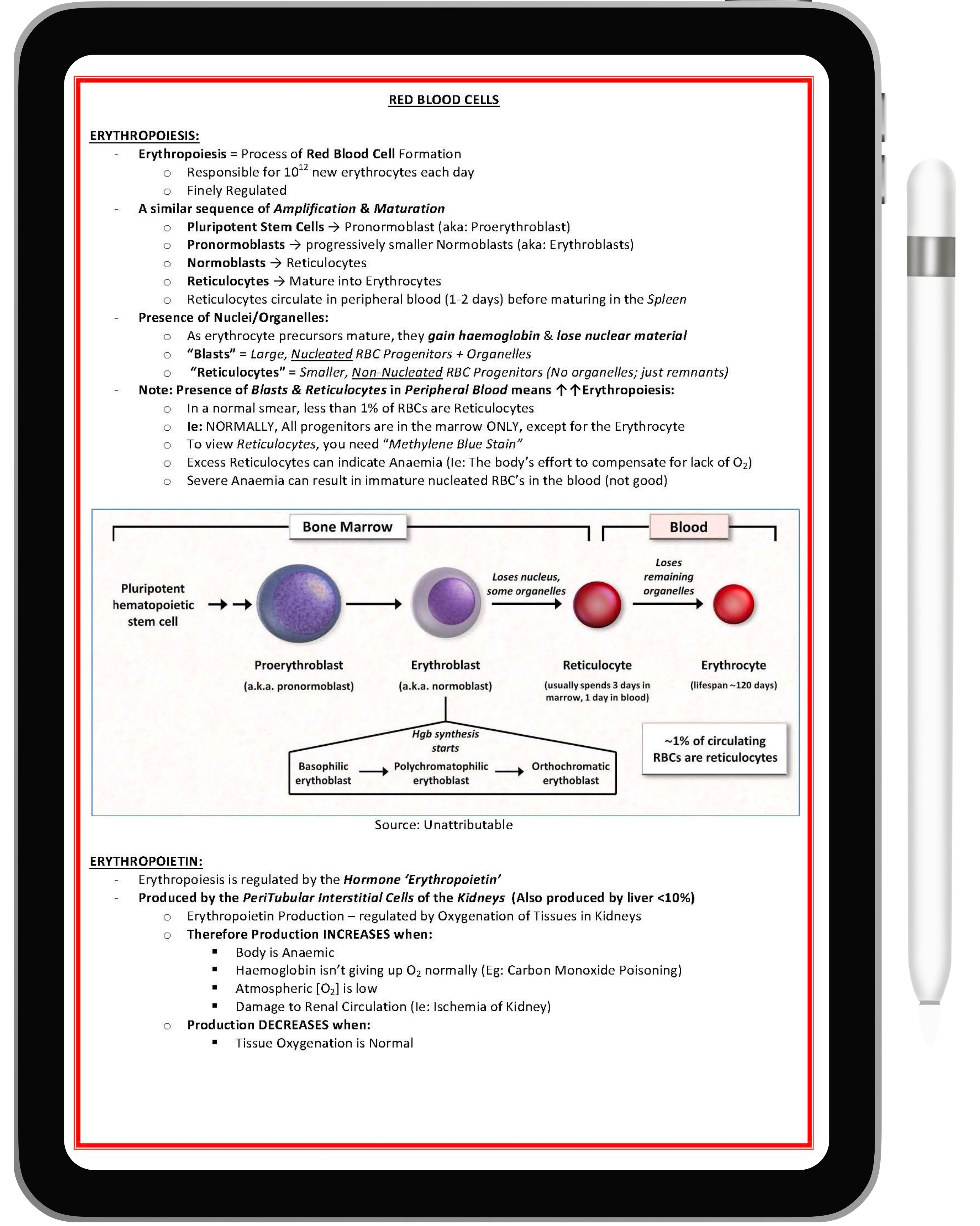 Clinical Haematology