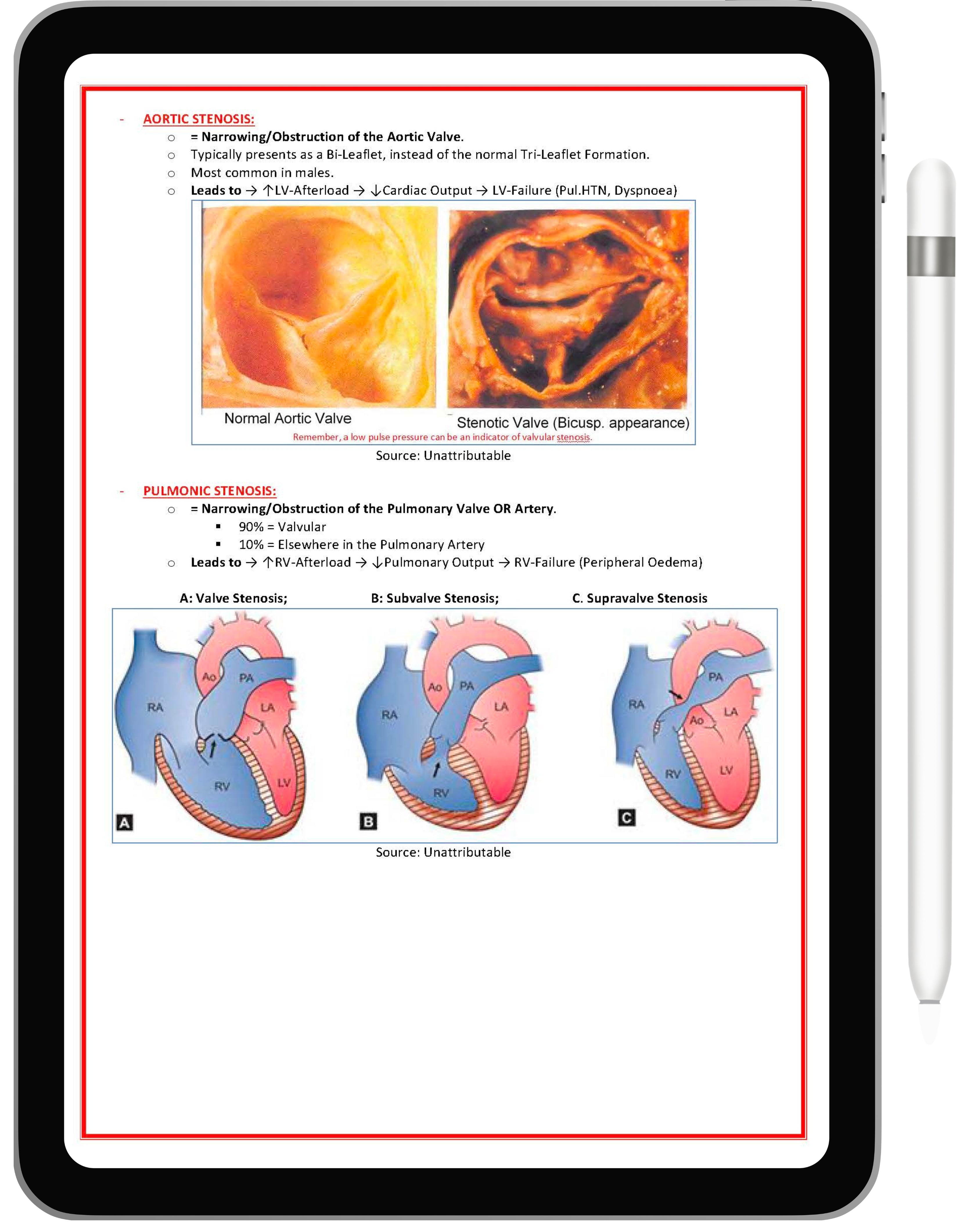 Cardiovascular System