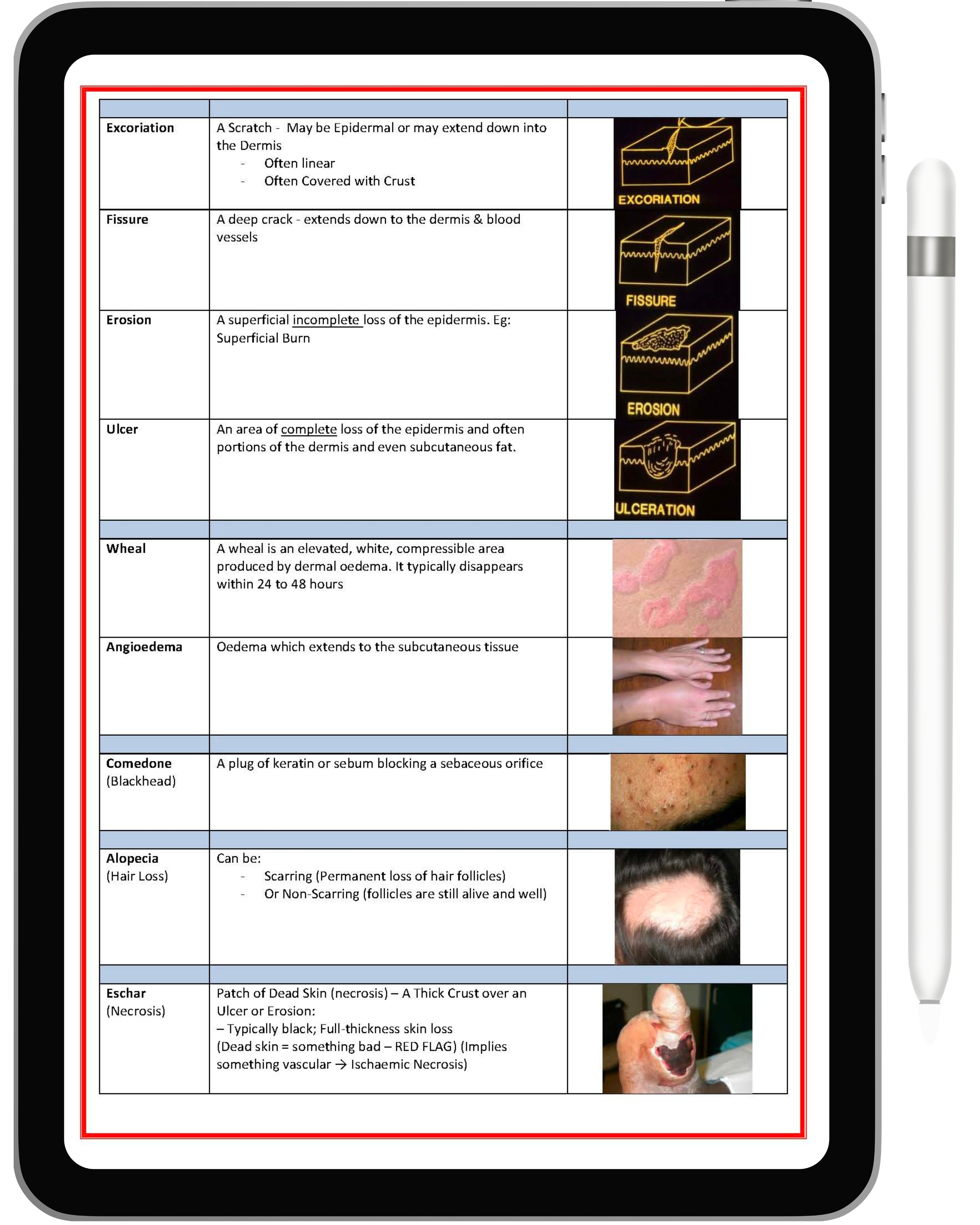 Clinical Dermatology