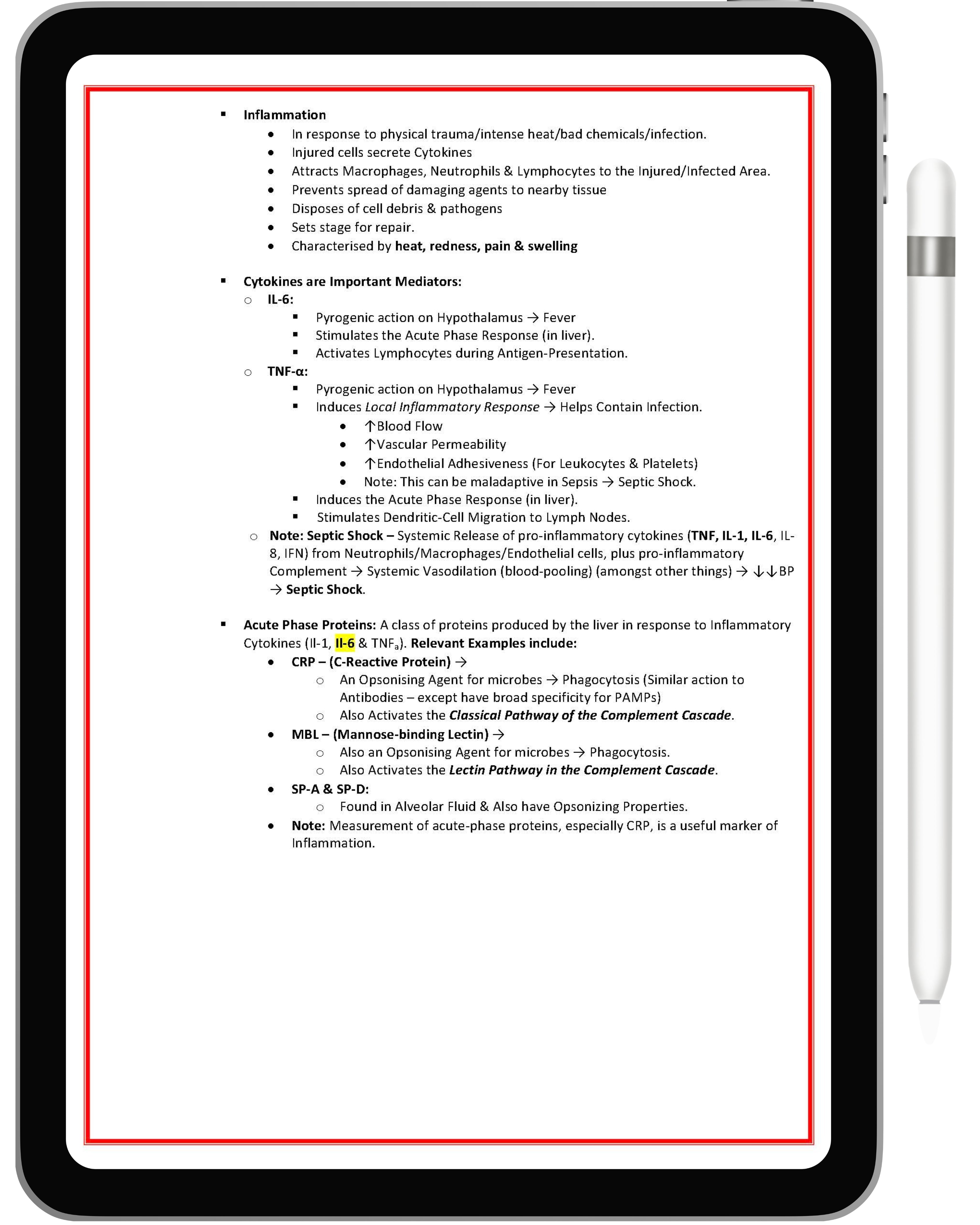 Immunology & Rheumatology